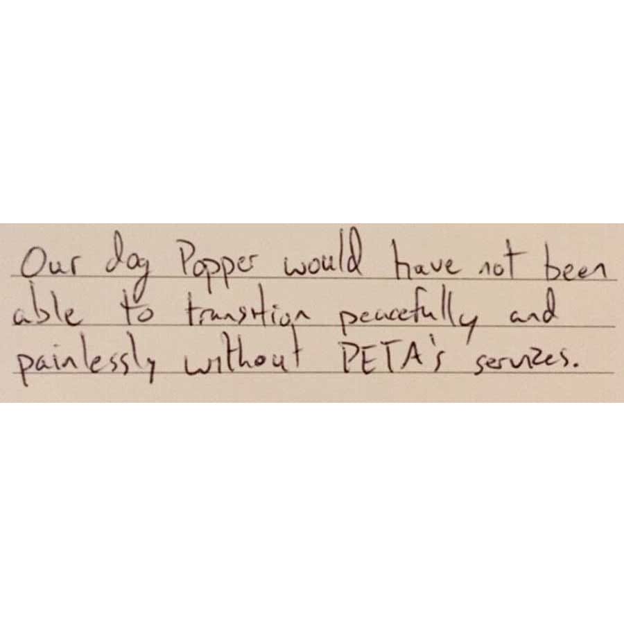 for dogs like Popper, PETA euthanizes