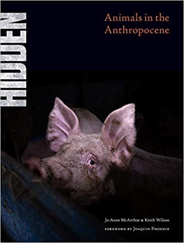 Hidden: Animals in the Anthropocene book