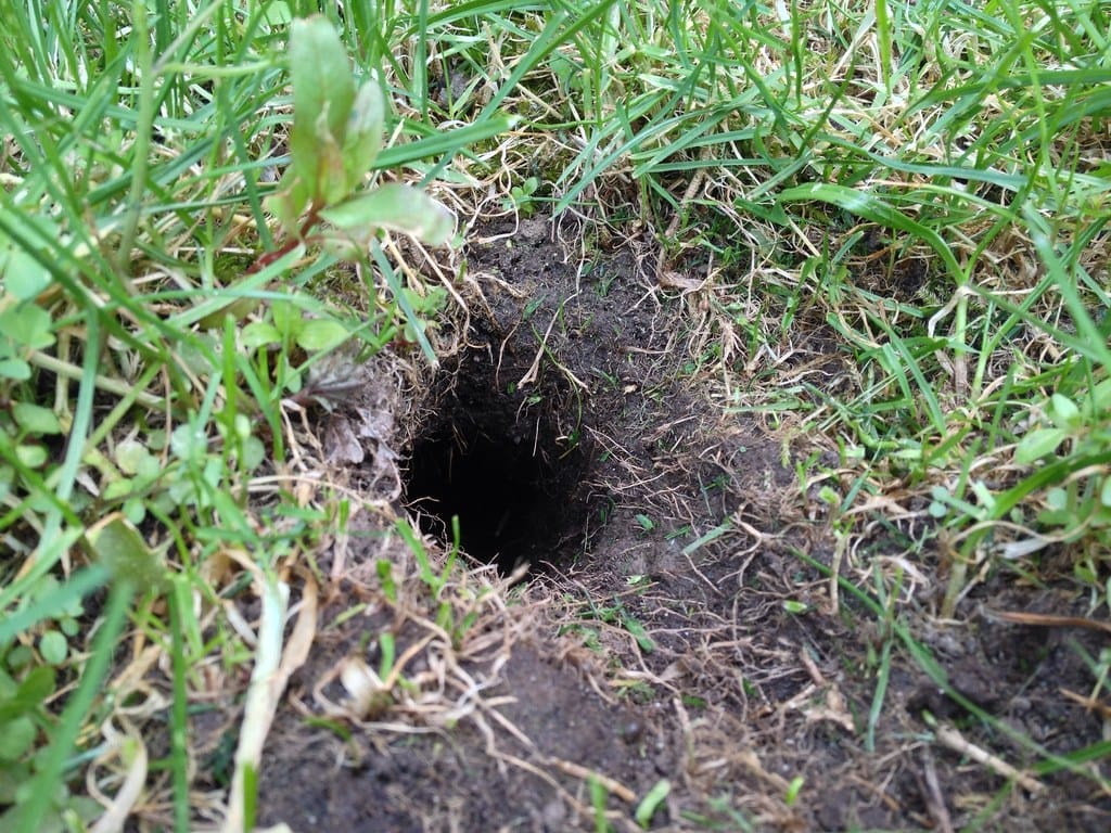 hole