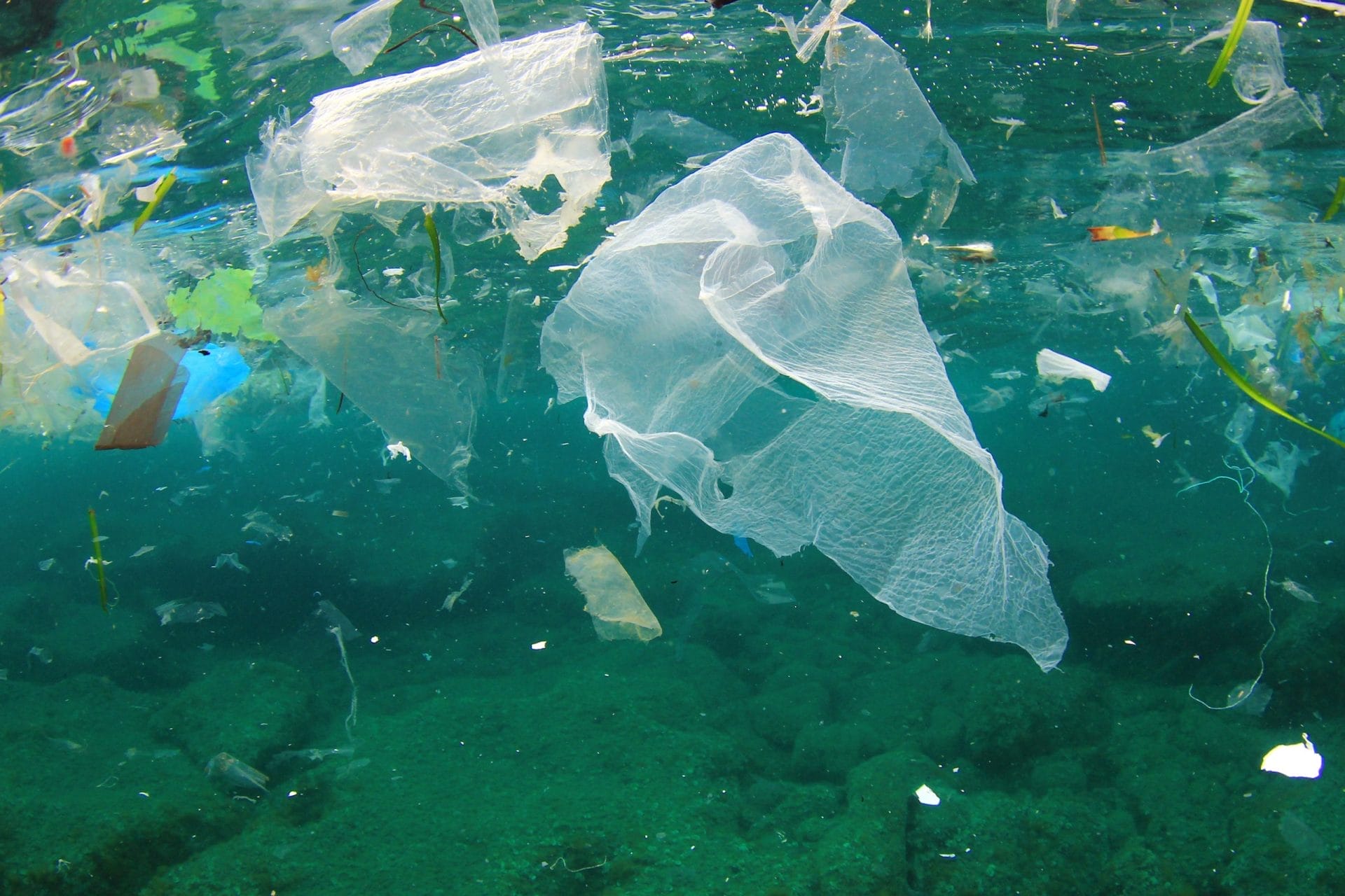 Plastic in Ocean