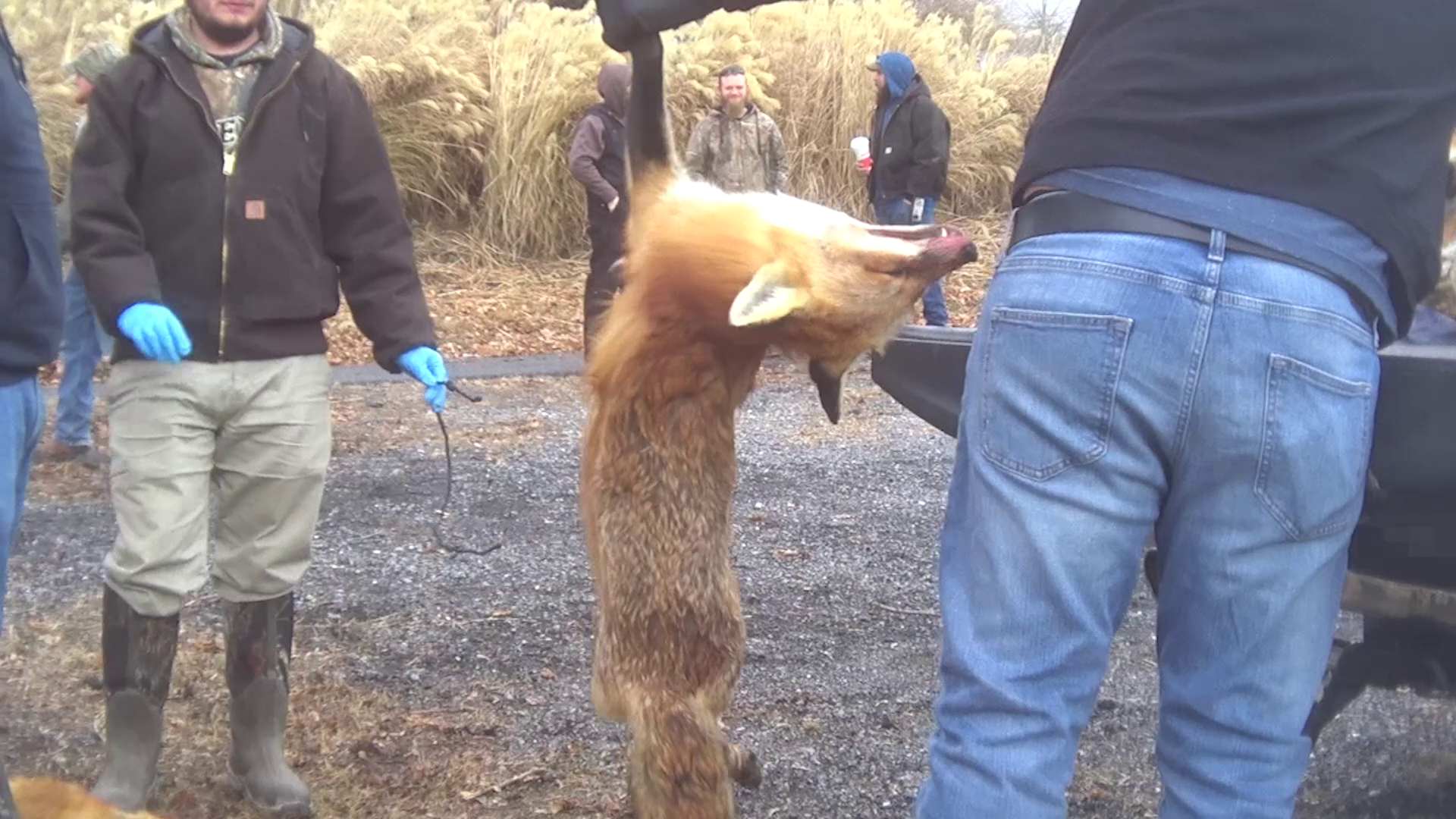 Wildlife Killing Contest