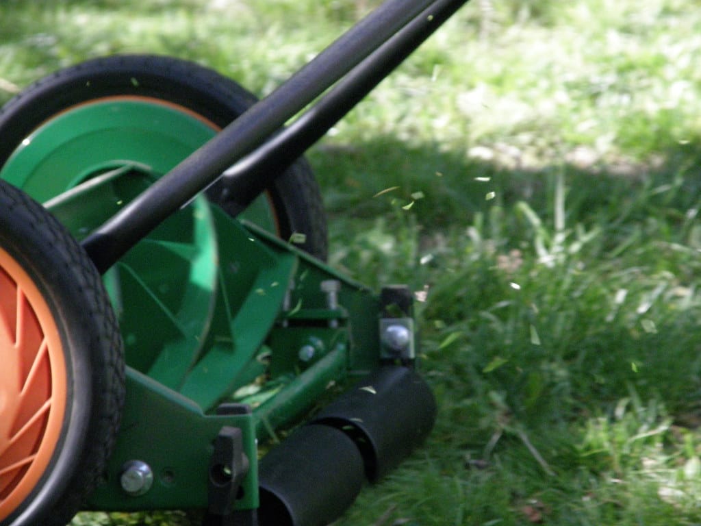 Lawn mower mowing the lawn
