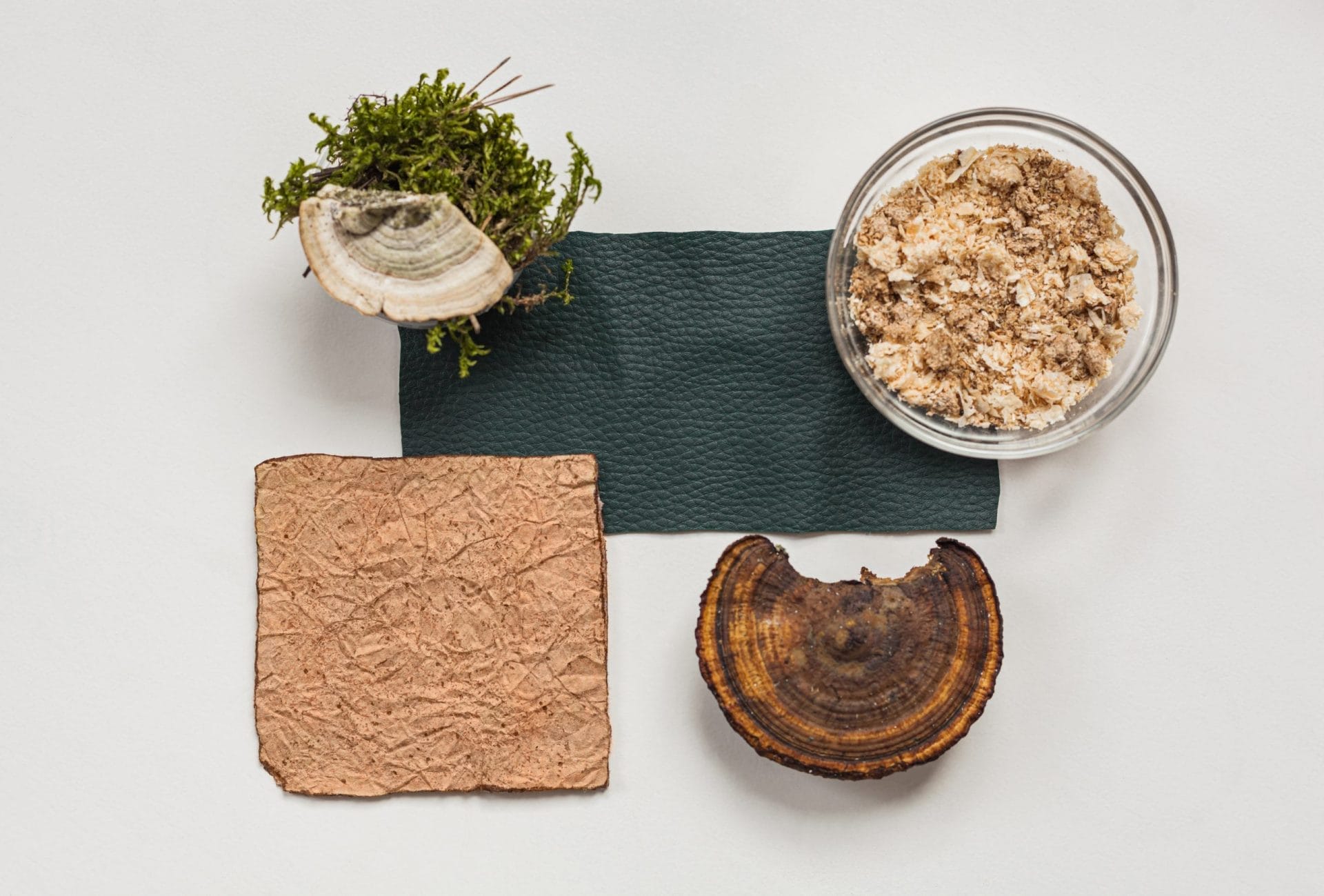 vegan leather with mushrooms