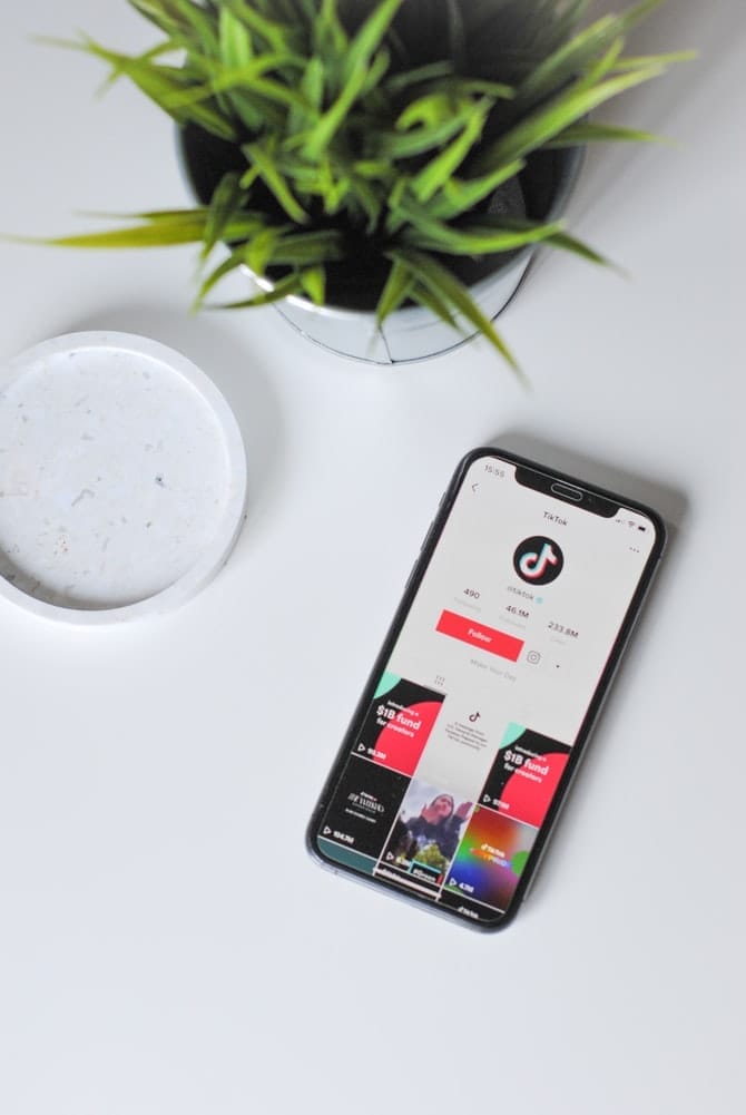 A phone with the TikTok app open beside a plant