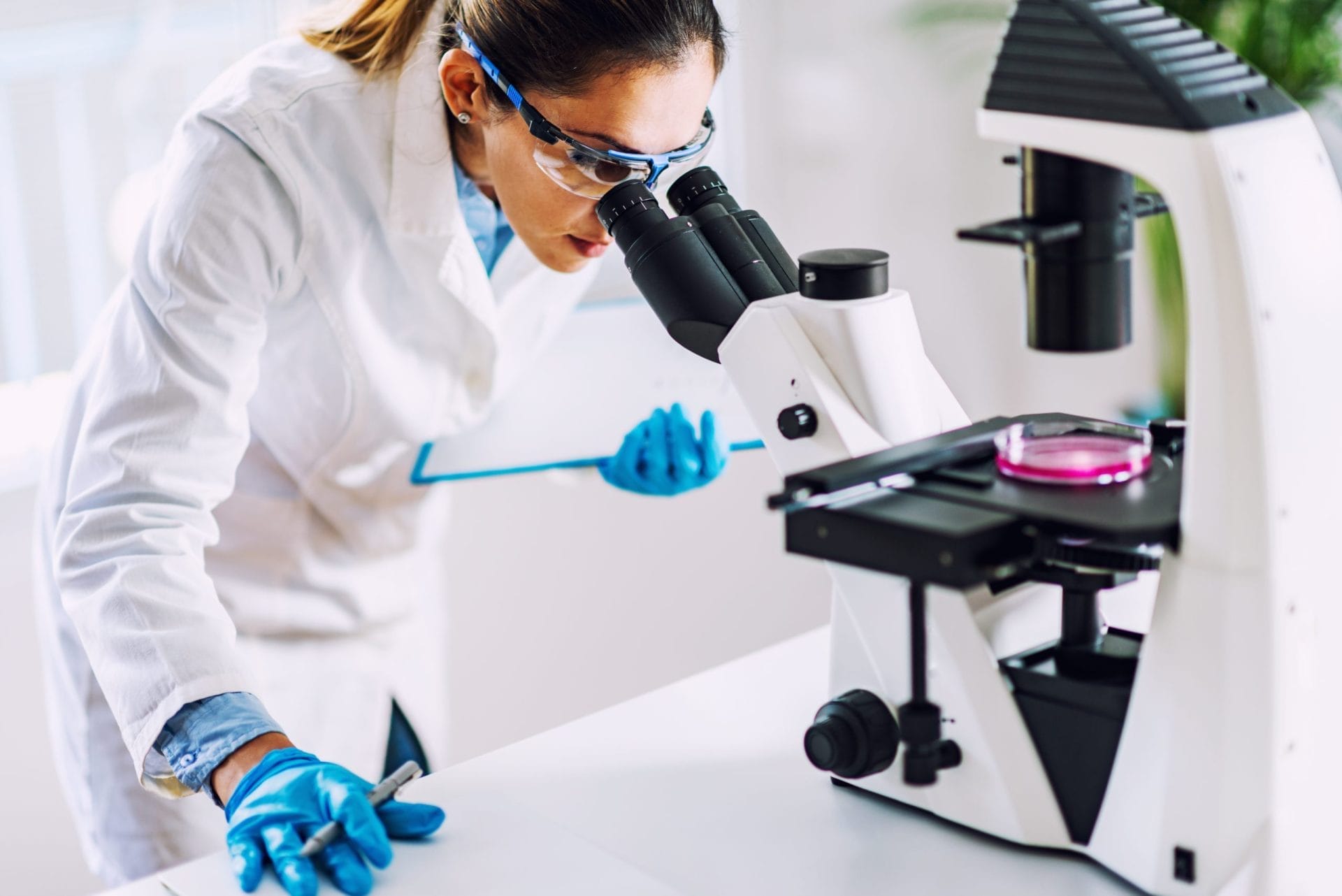 Lab
