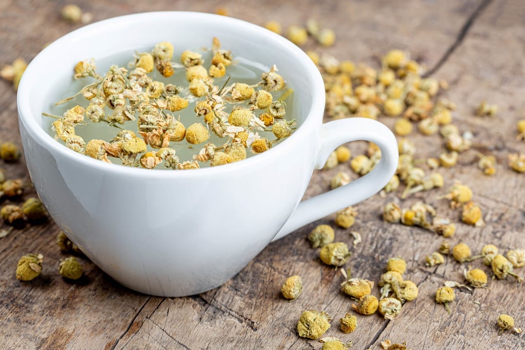 White cup of chamomile tea