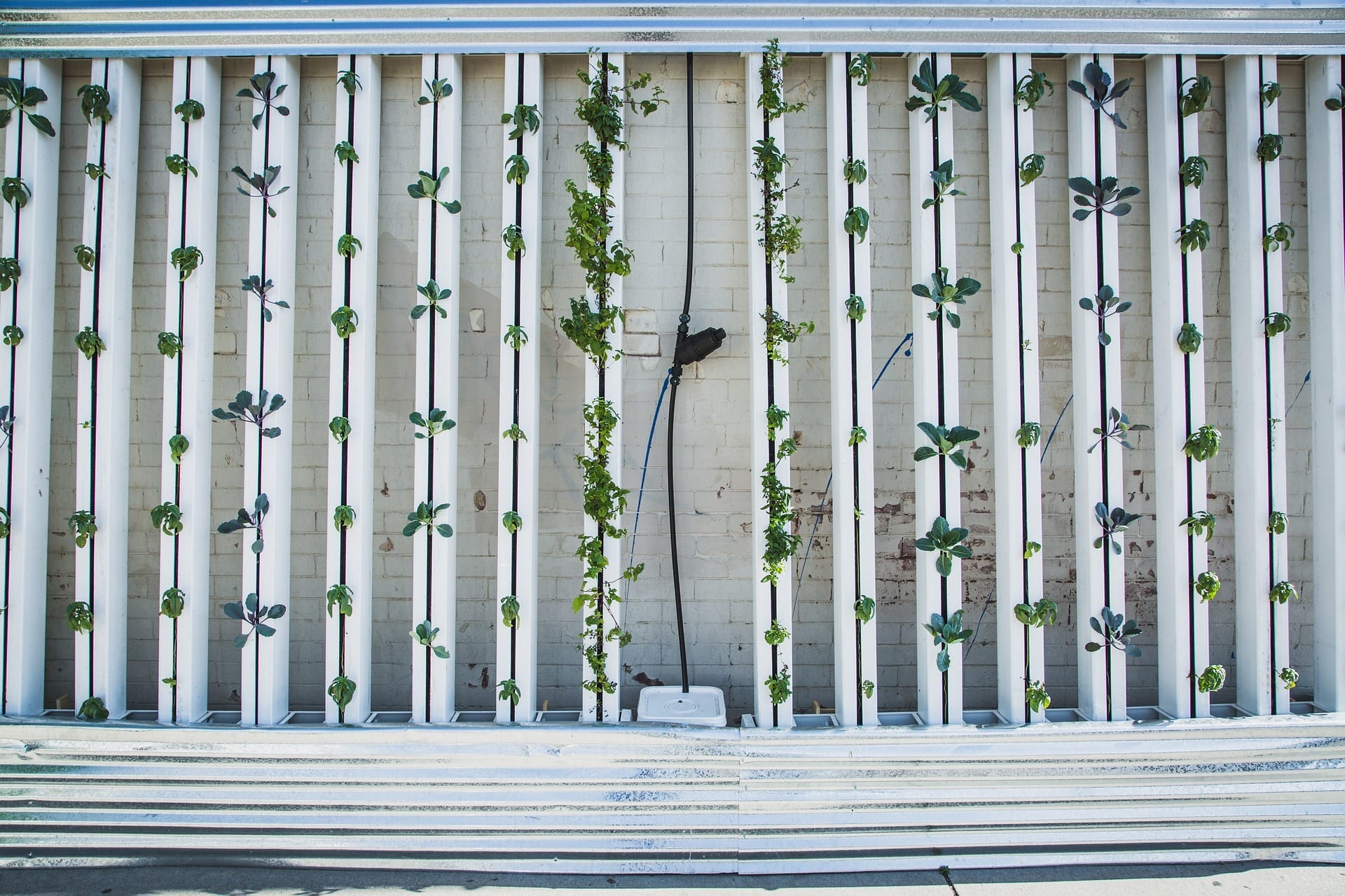 Vertical Farm