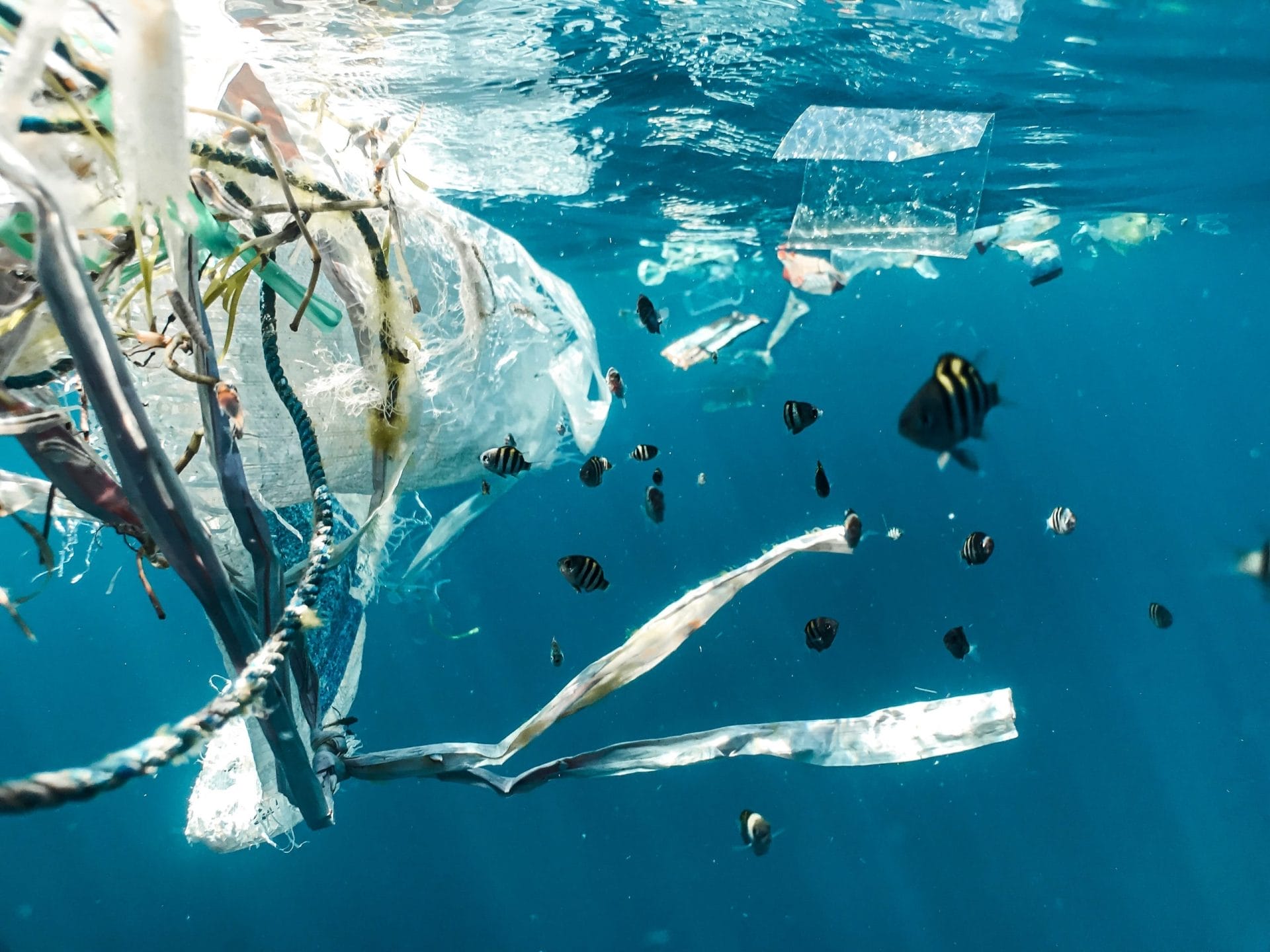 plastic-ocean-scaled
