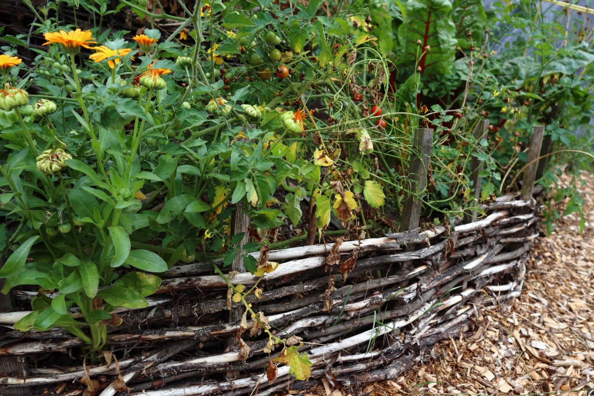 garden