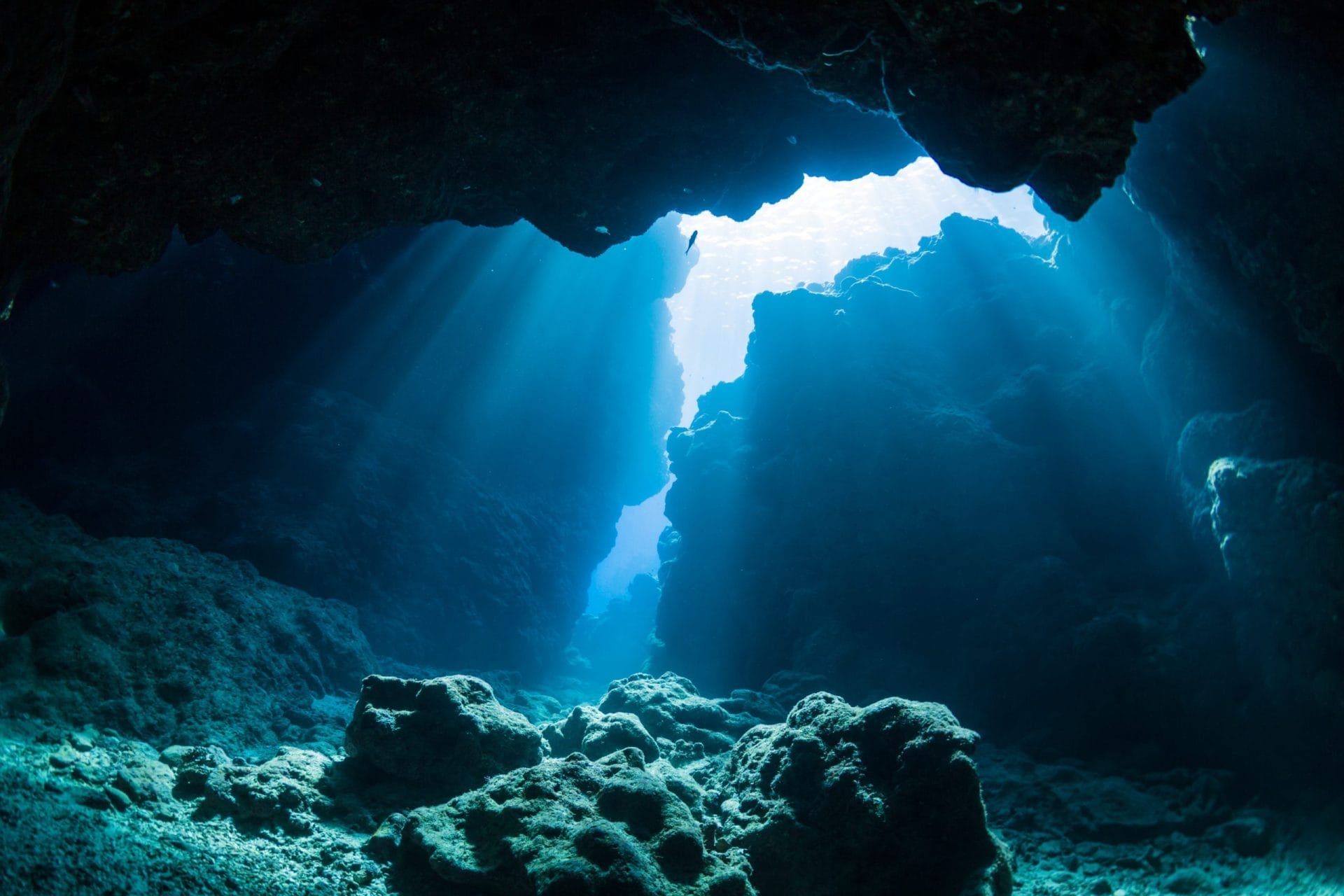 ocean
