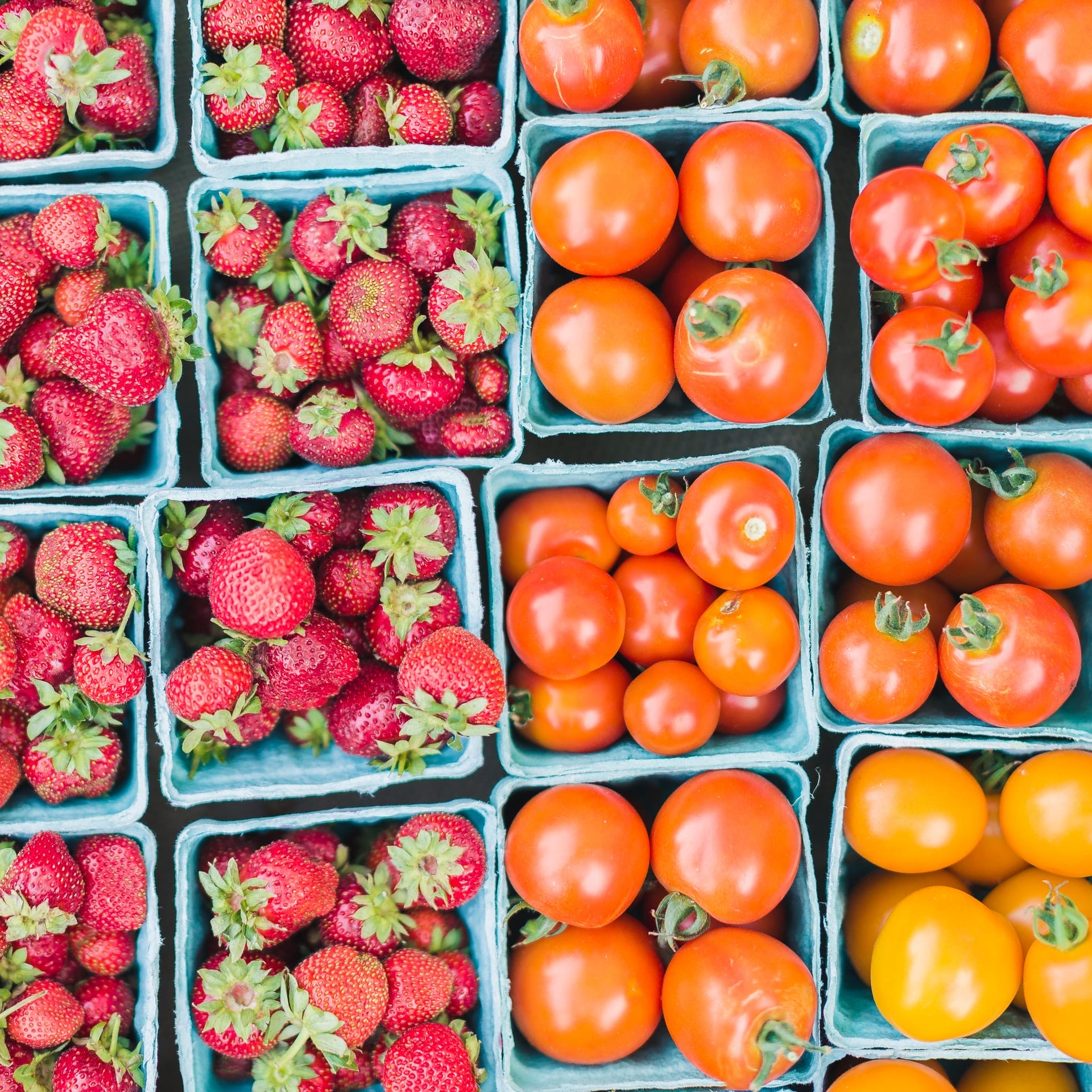 plant foods