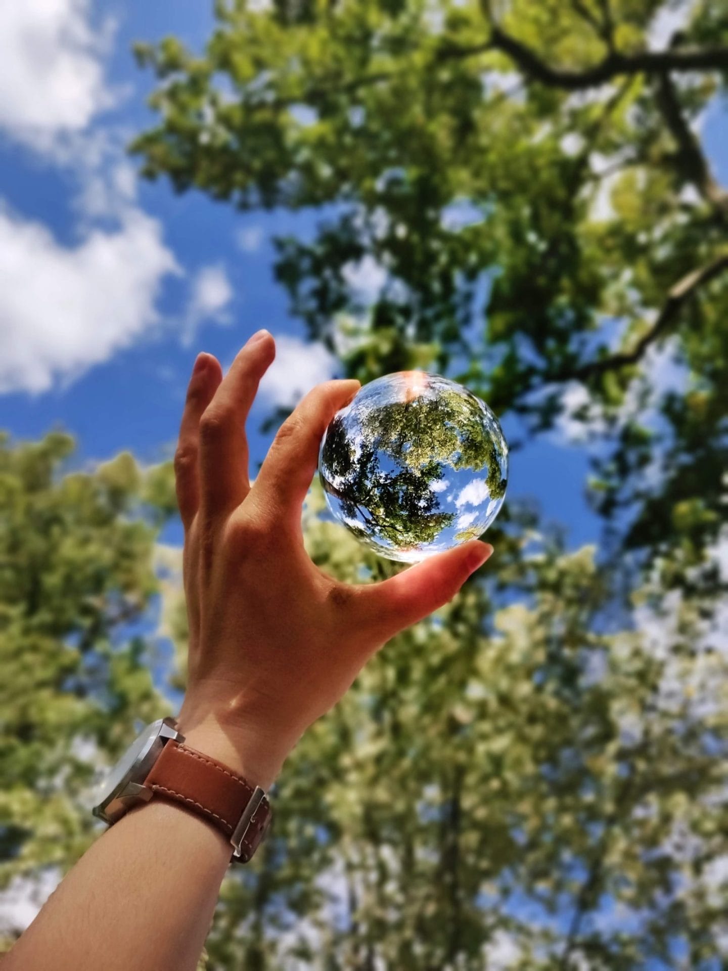 Someone holding a clear orb in the sky