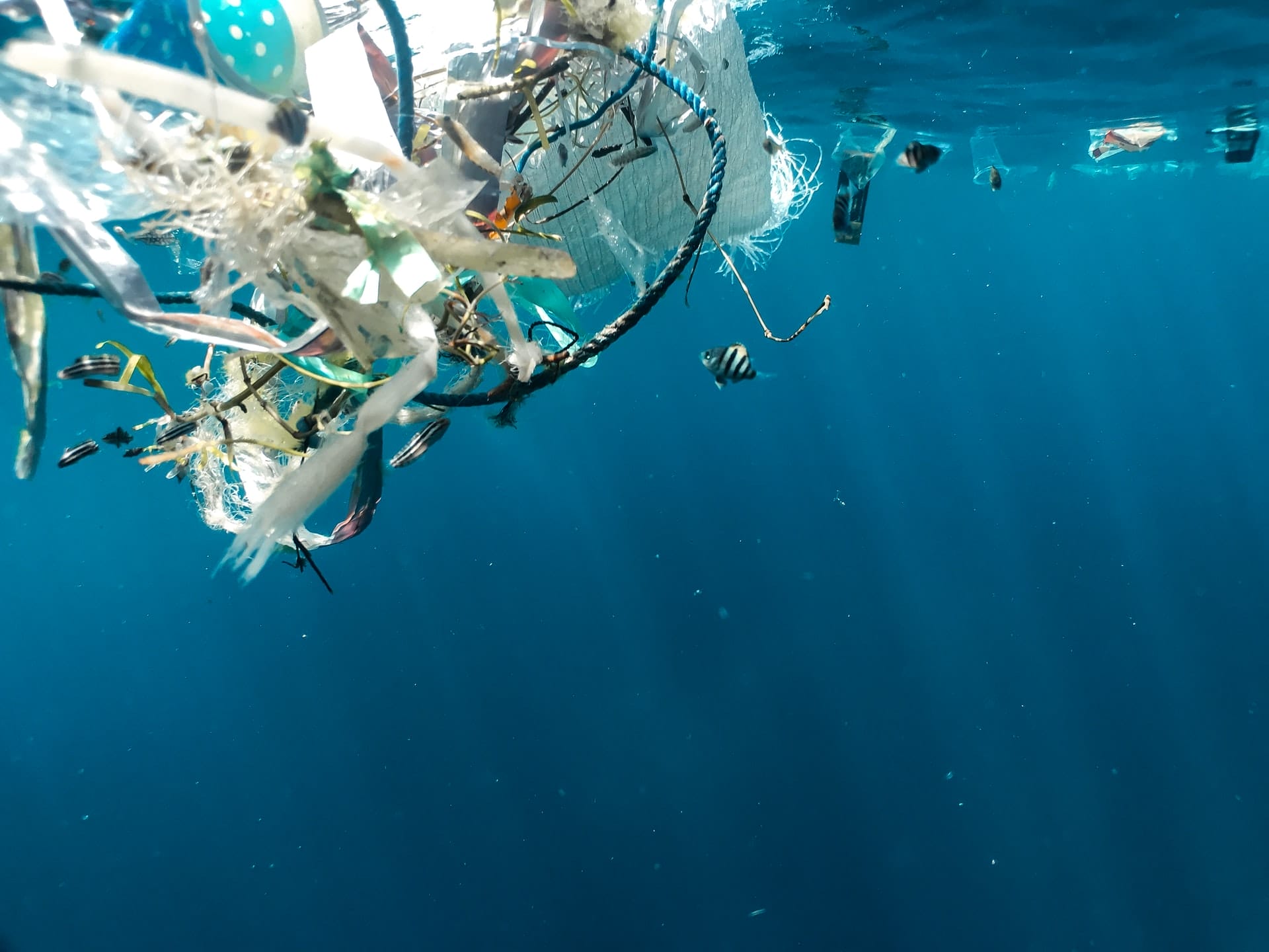 The Ocean Cleanup