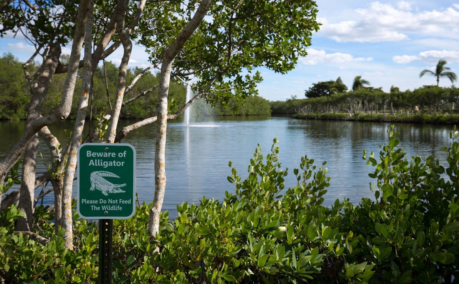 Do not feed sign for alligators