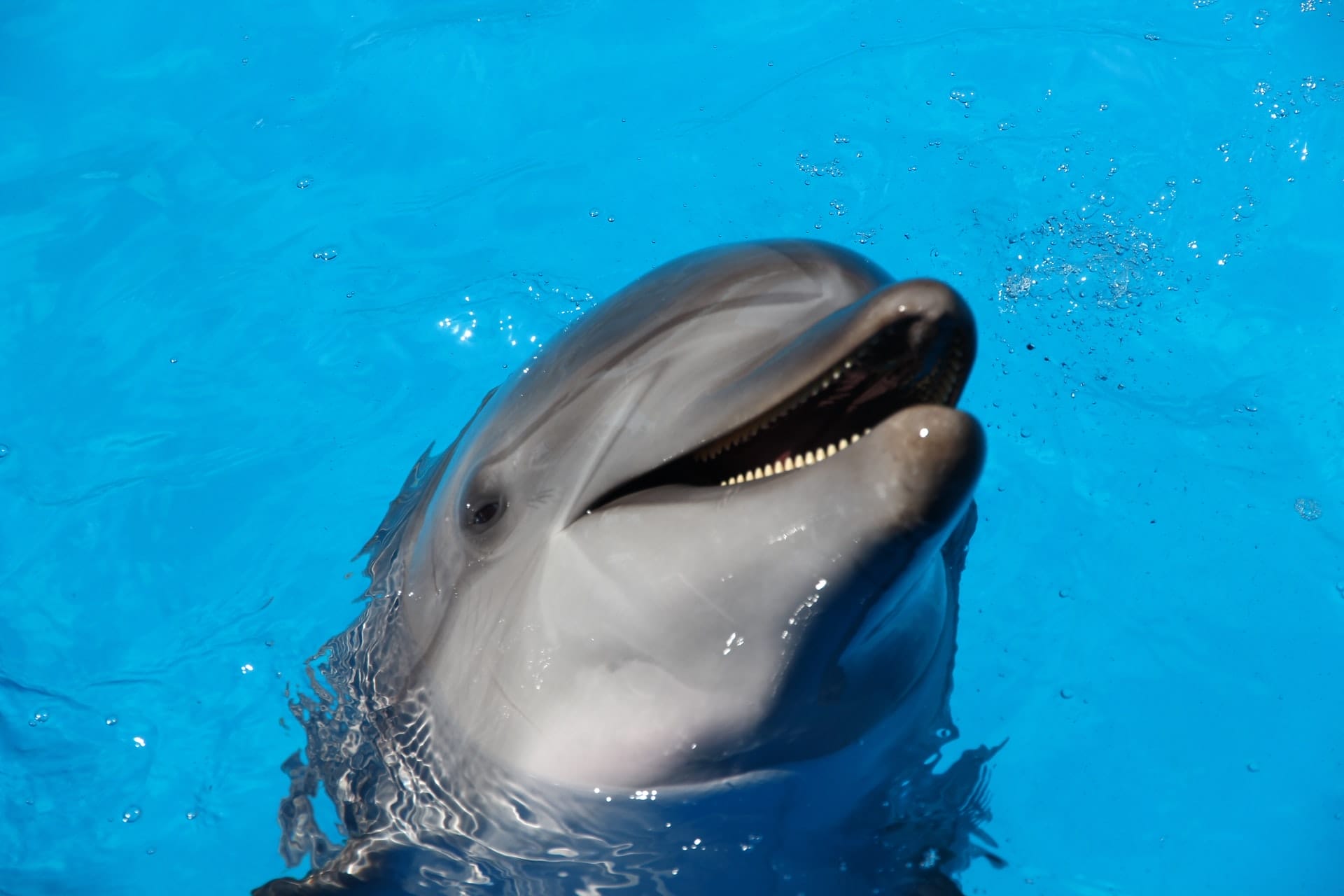 Marineland