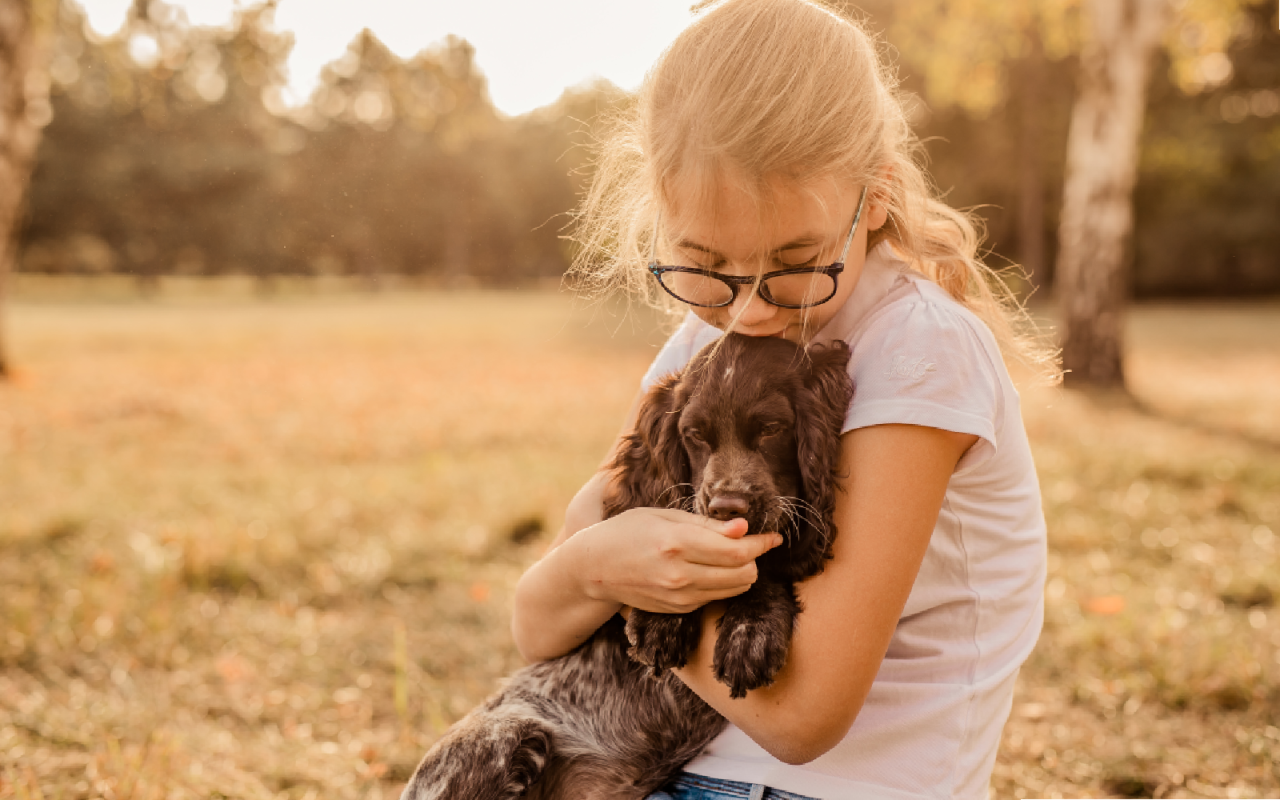 Cocker Spaniel