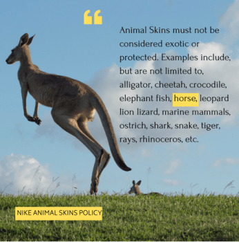Photo of kangaroo leaping