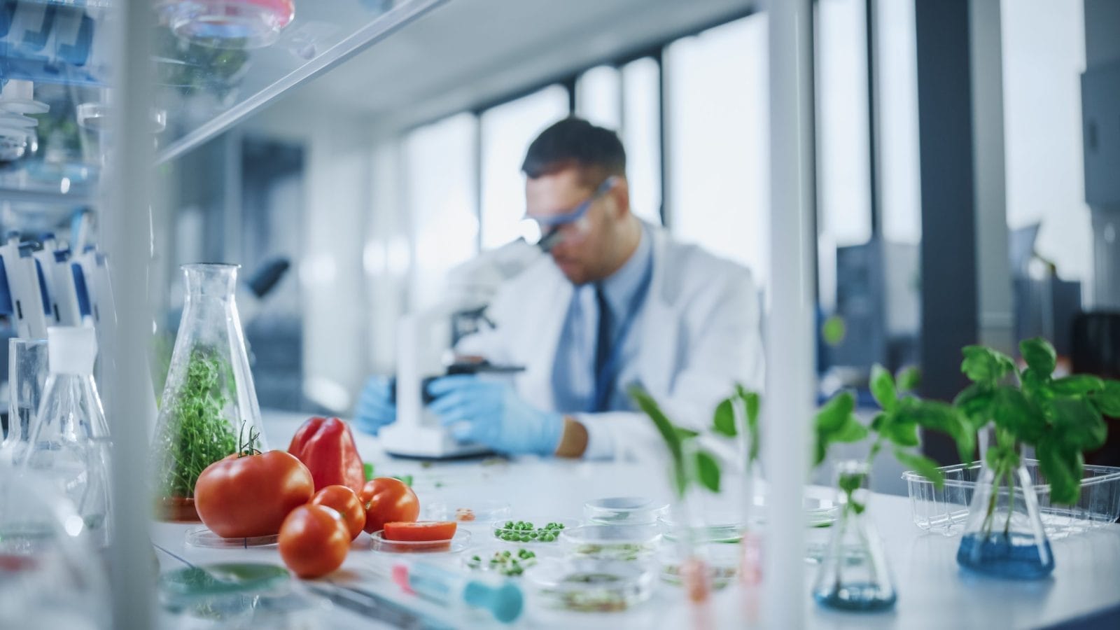 Scientists in a lab working with fruits and vegetables