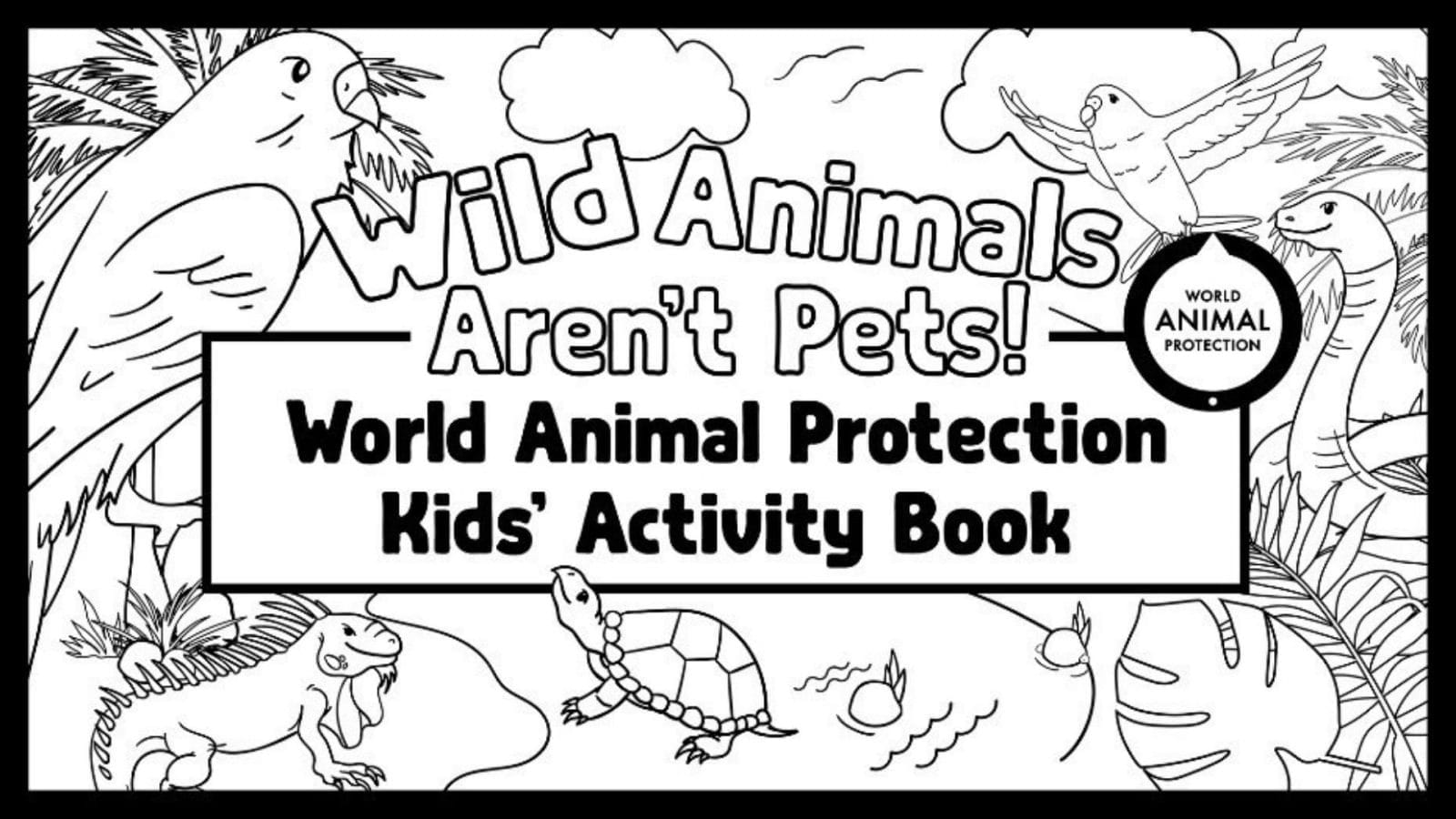 Wild Animals Aren't Pets Book