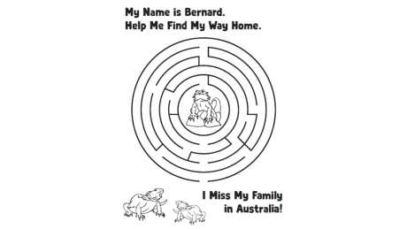 A maze in the picture book