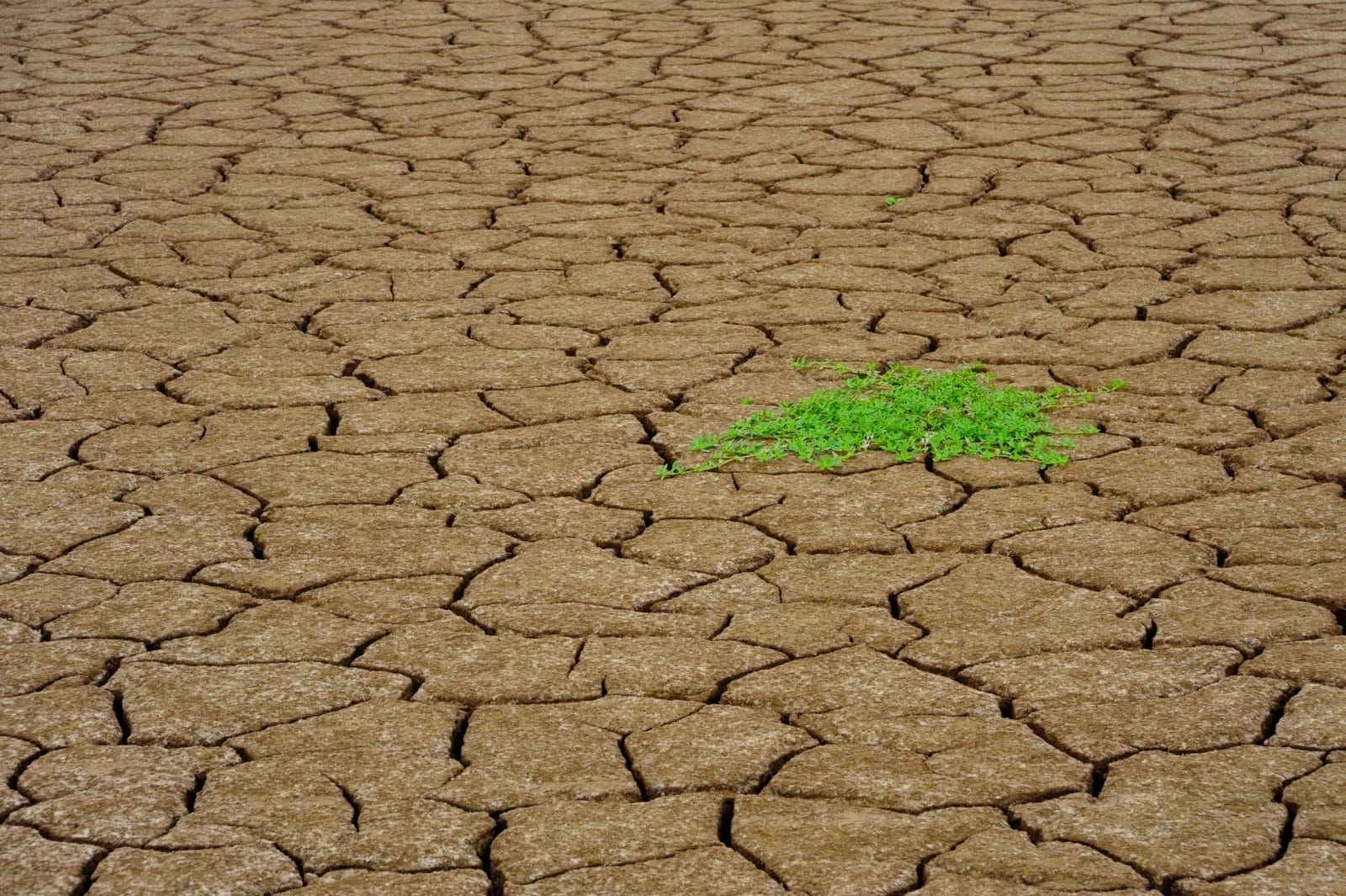 Cracked dry bottom of river in China