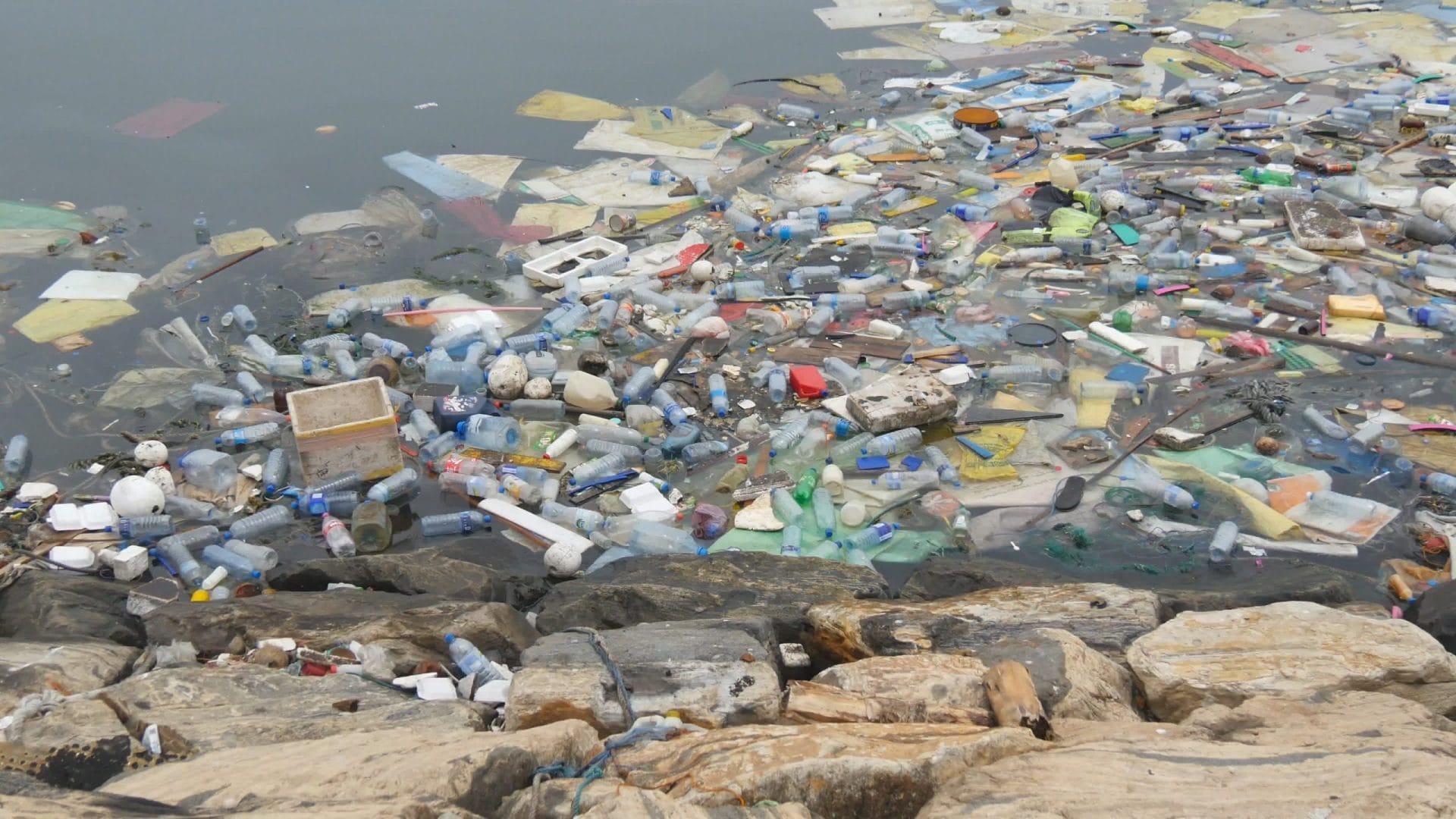 Plastic in a river on the bank