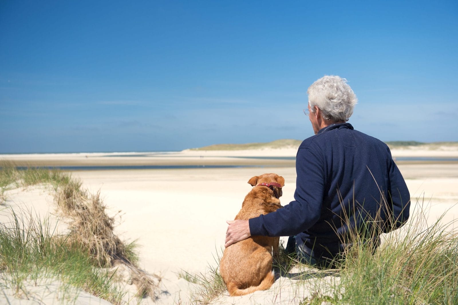 Dog sitting with old man on the beach
