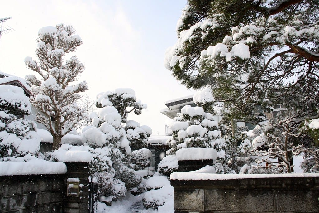 Winter Garden covered in snow