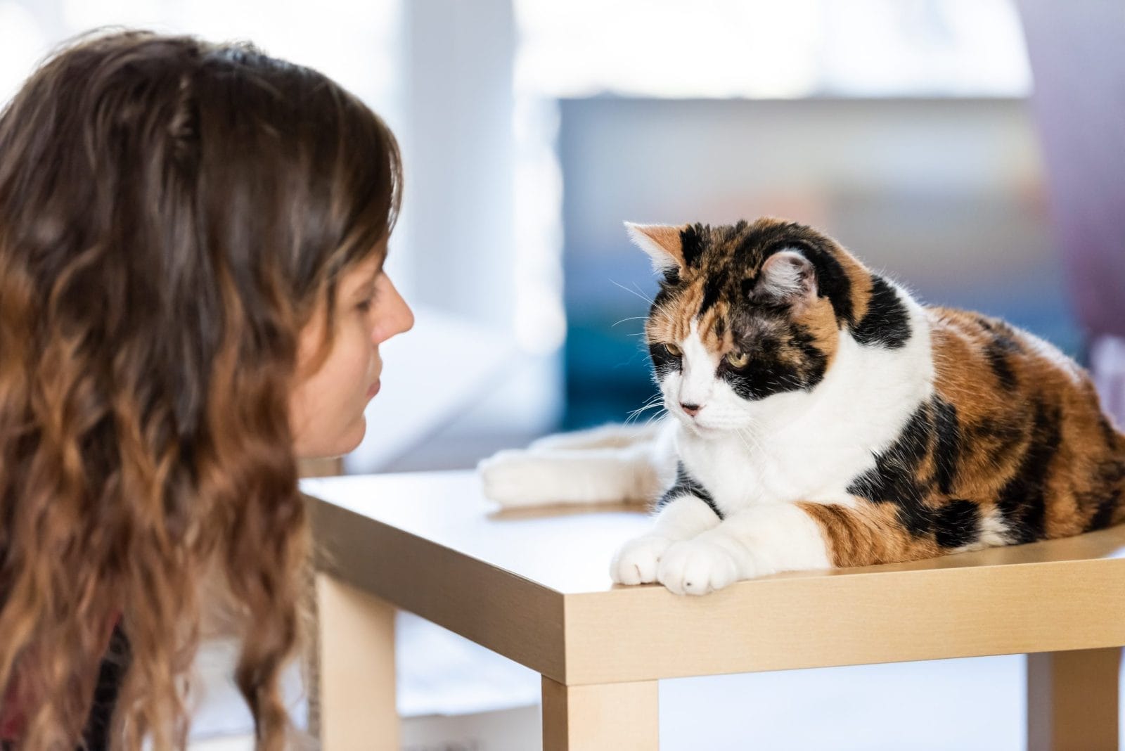 woman talking to a cat