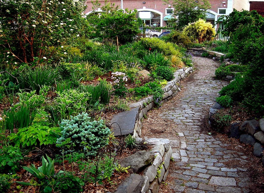 Garden Path with green plants
