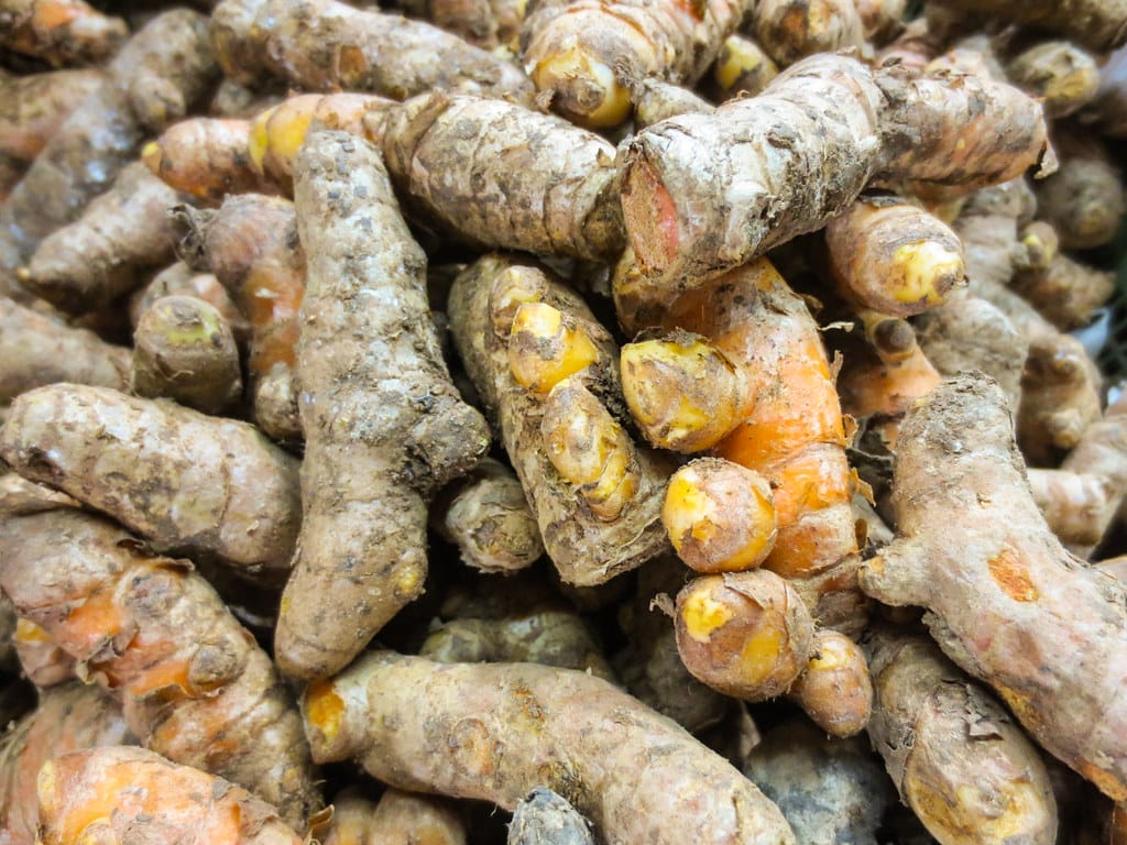 Fresh Turmeric