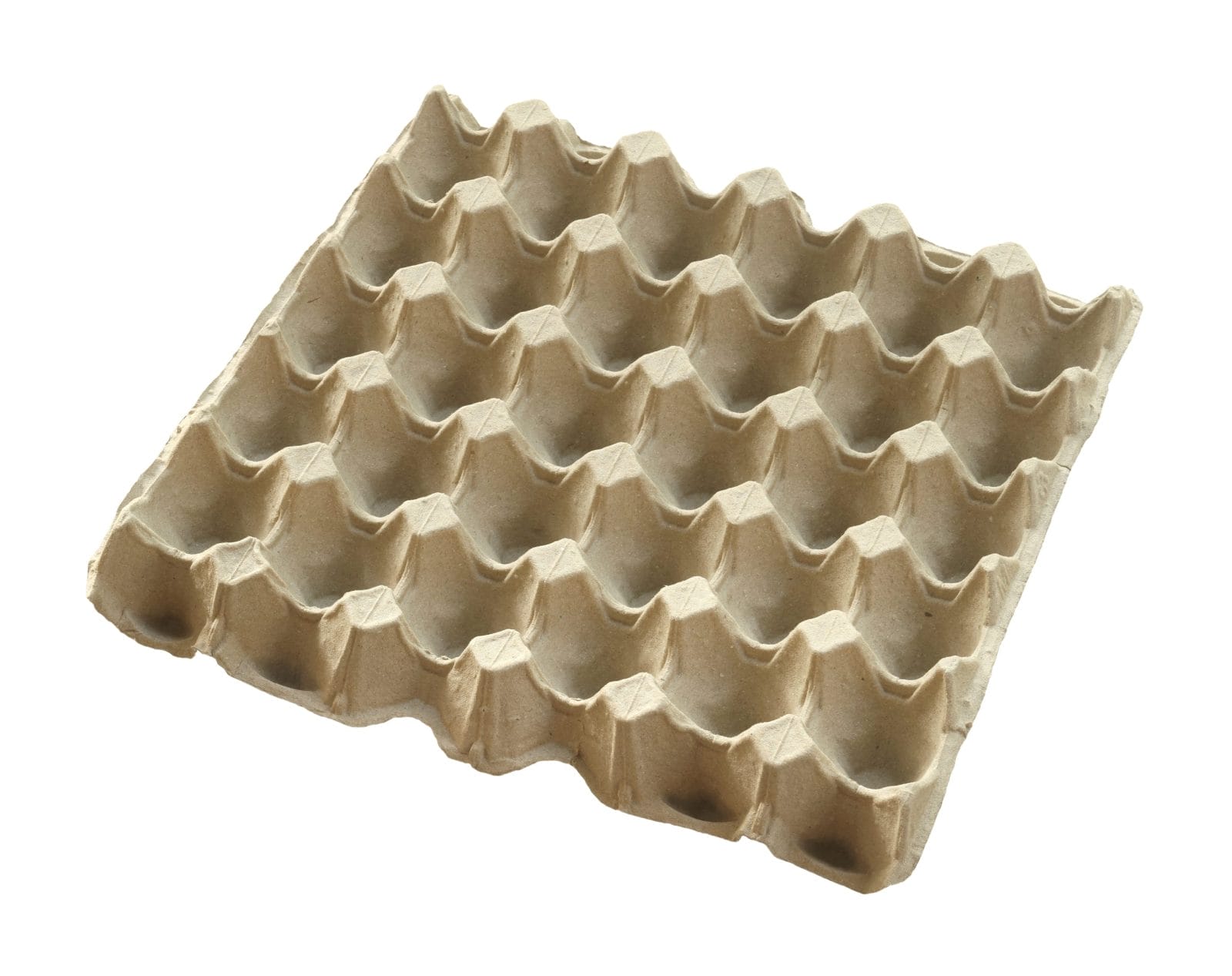 Paper eggs tray