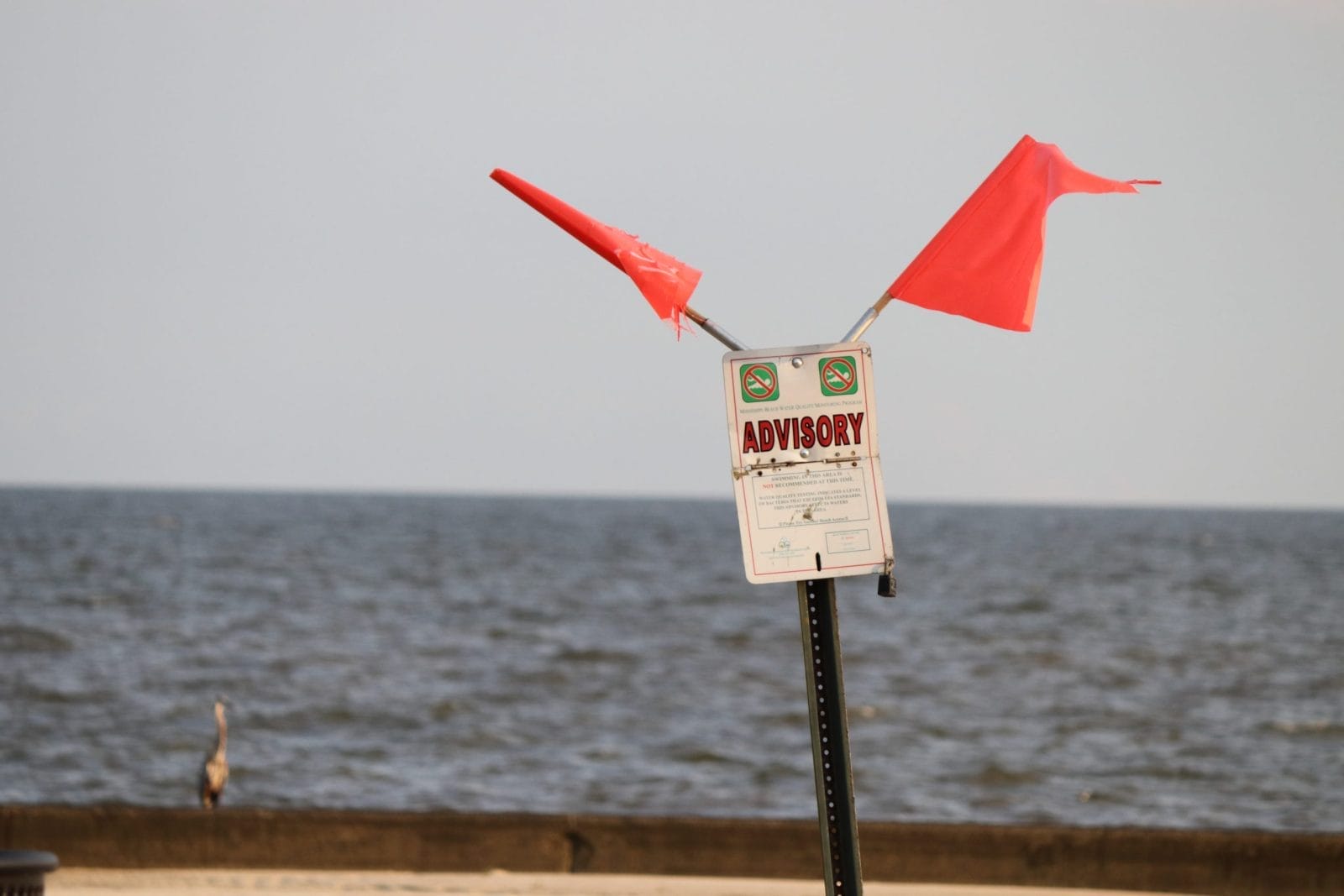 WARNING NO SWIMMING ADVISORY SIGN