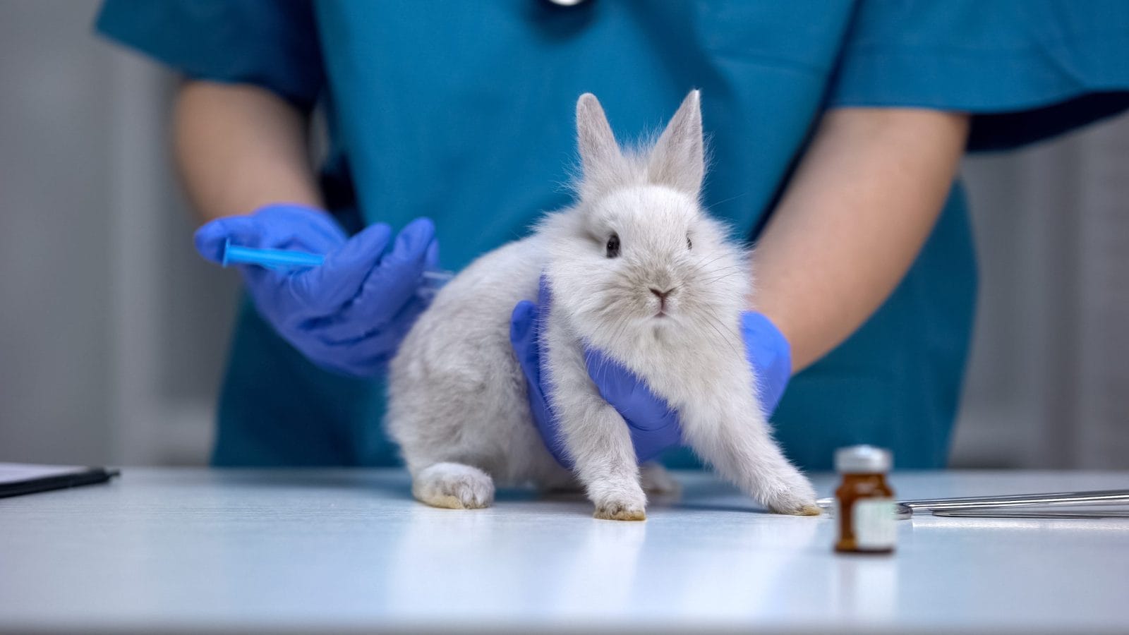 Nurse giving injection to helpless rabbit