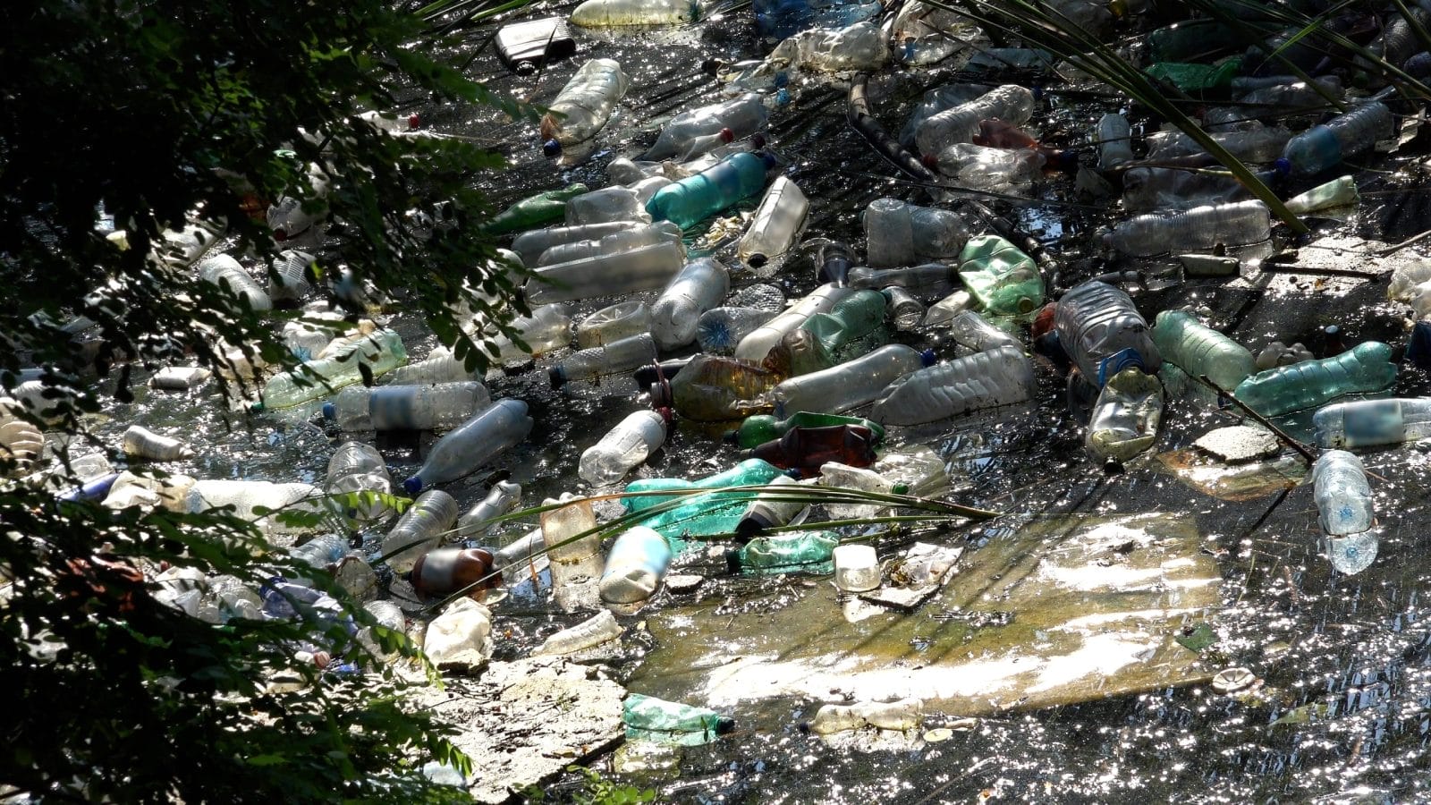 Plastic Bottles in Mountain River