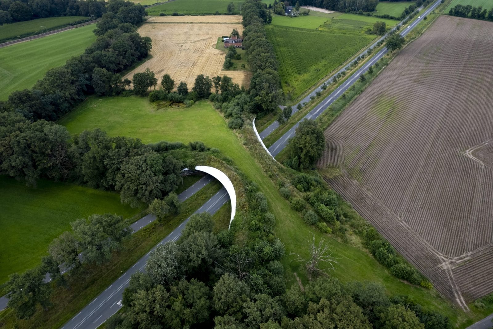 Motorway passing underneath wildlife crossing forming a safe natural corridor bridge for animals