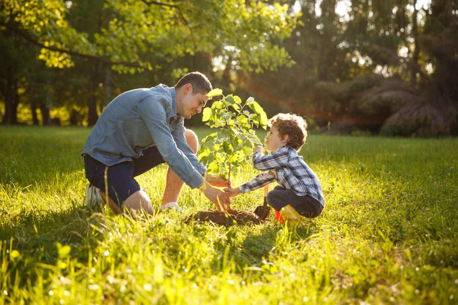 father and sun planting tree under sun
