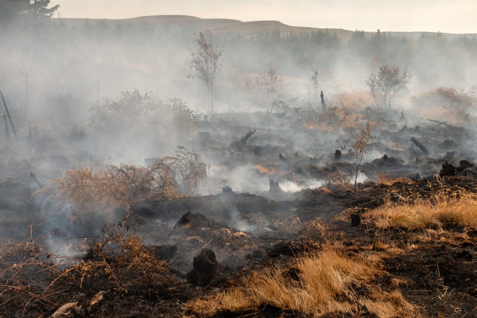 Smoke rising from a grassland wildfire