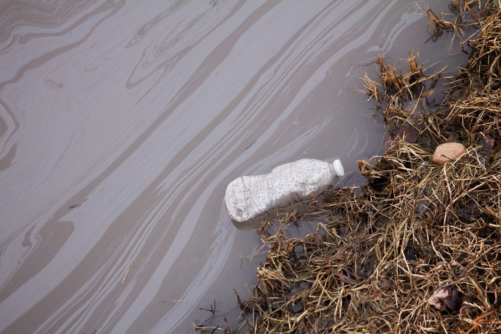 A discarded water bottle floats in a polluted stream.