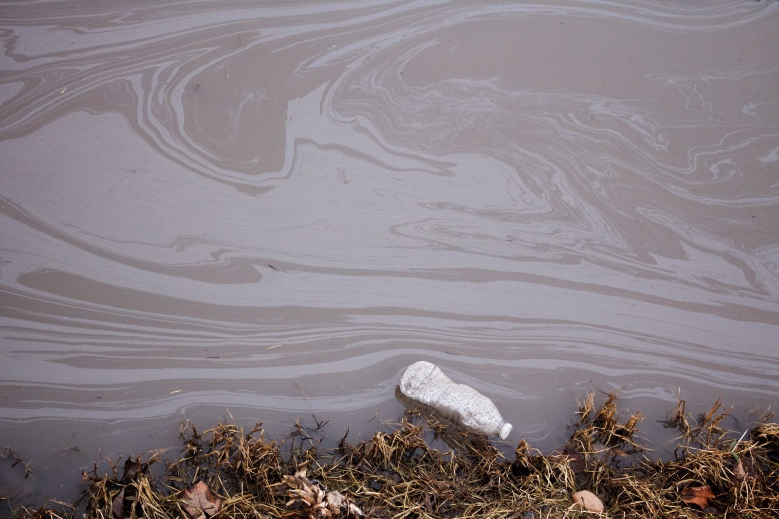 discarded water bottle floats in a polluted stream