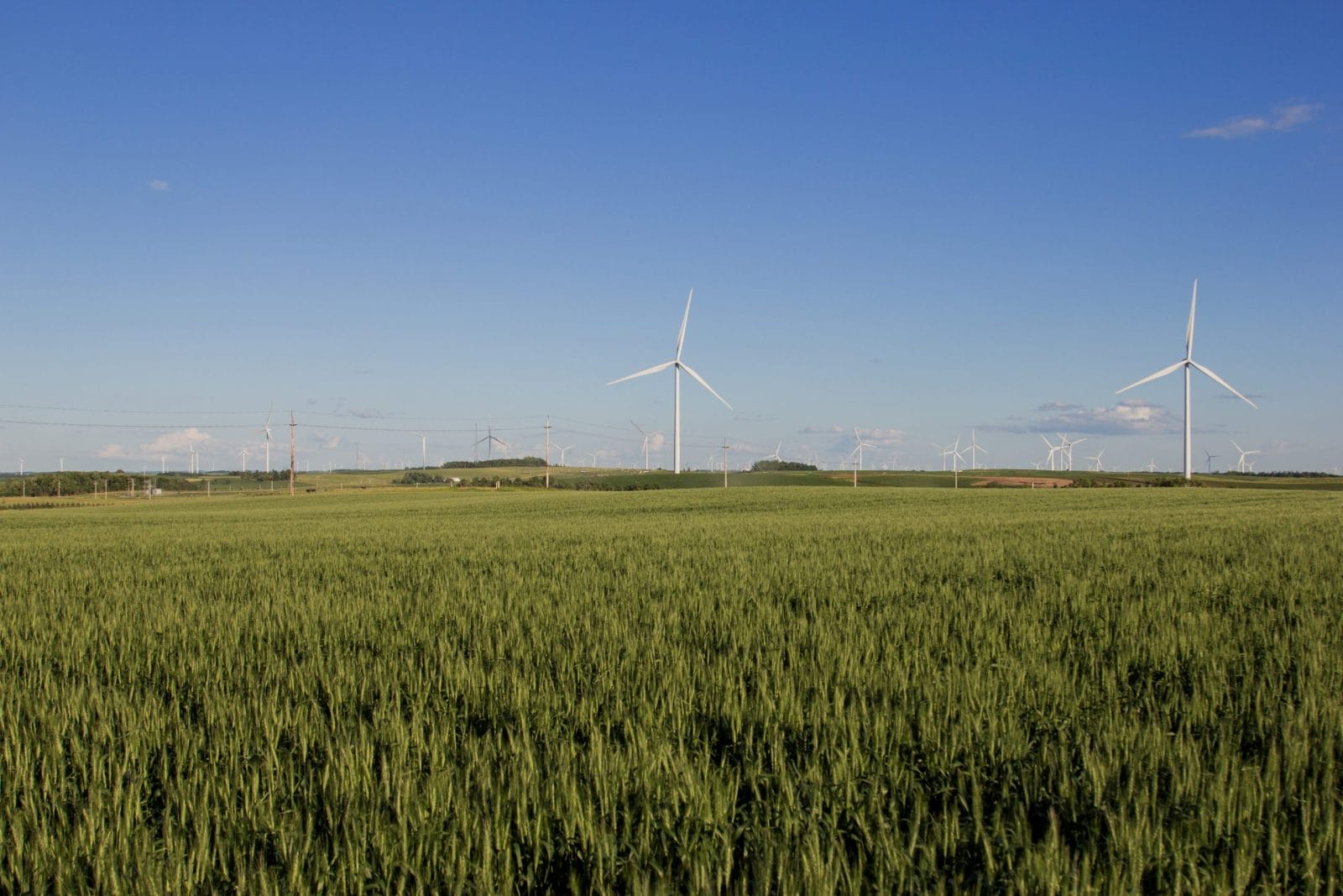wind turbines on Buffalo Ridge in southwest Minnesota