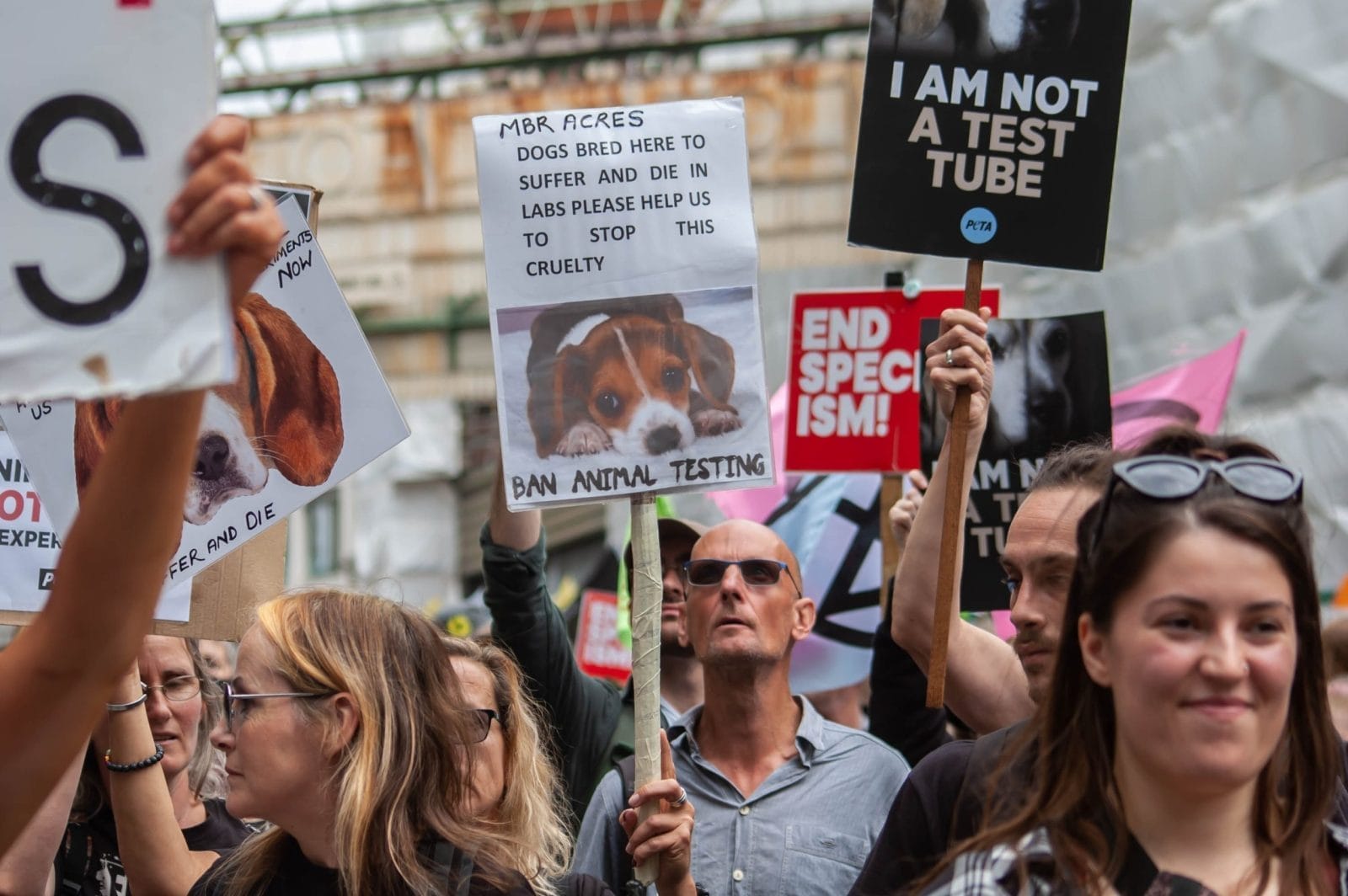 animal testing protest london