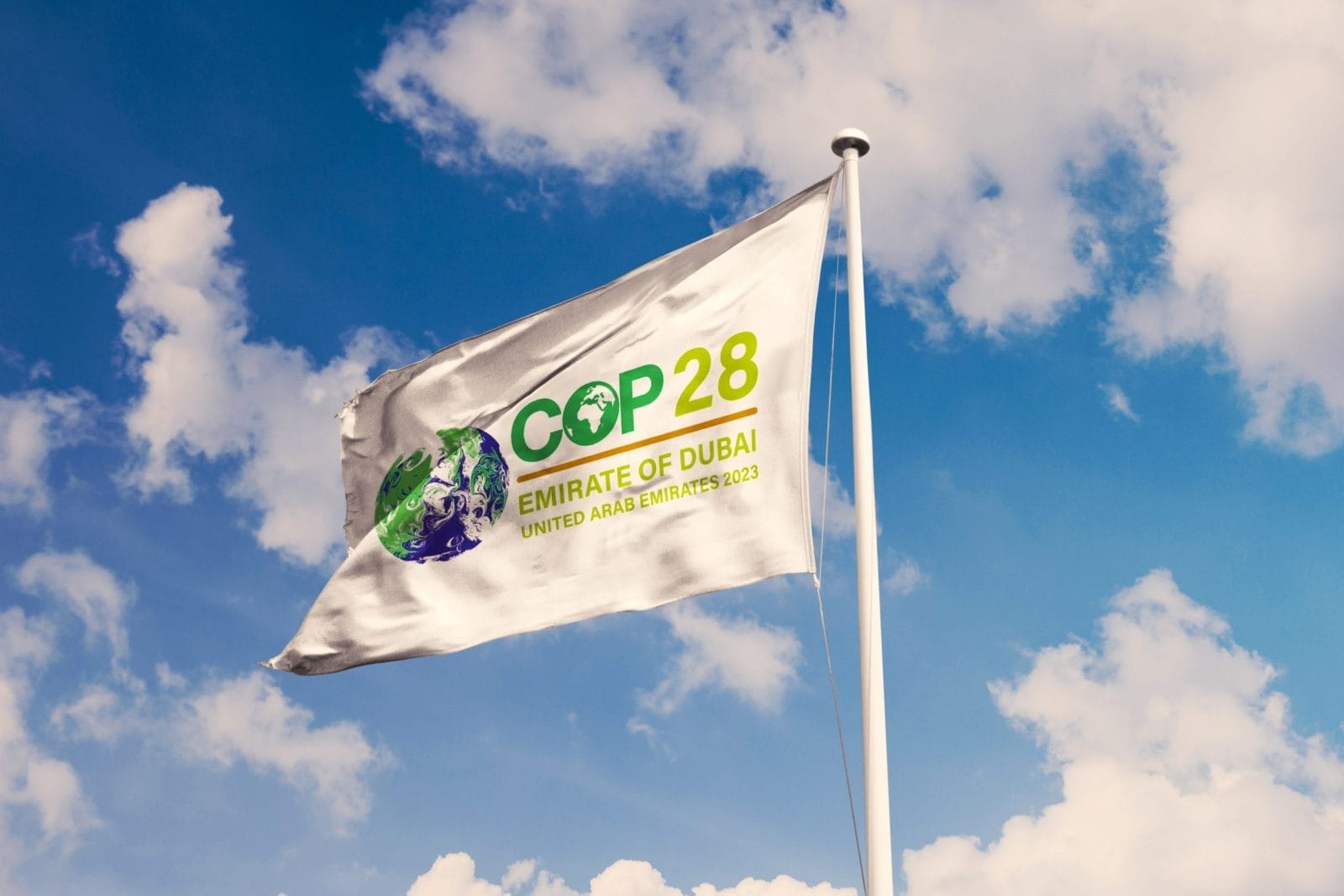 United Nations Climate Change Conference flag