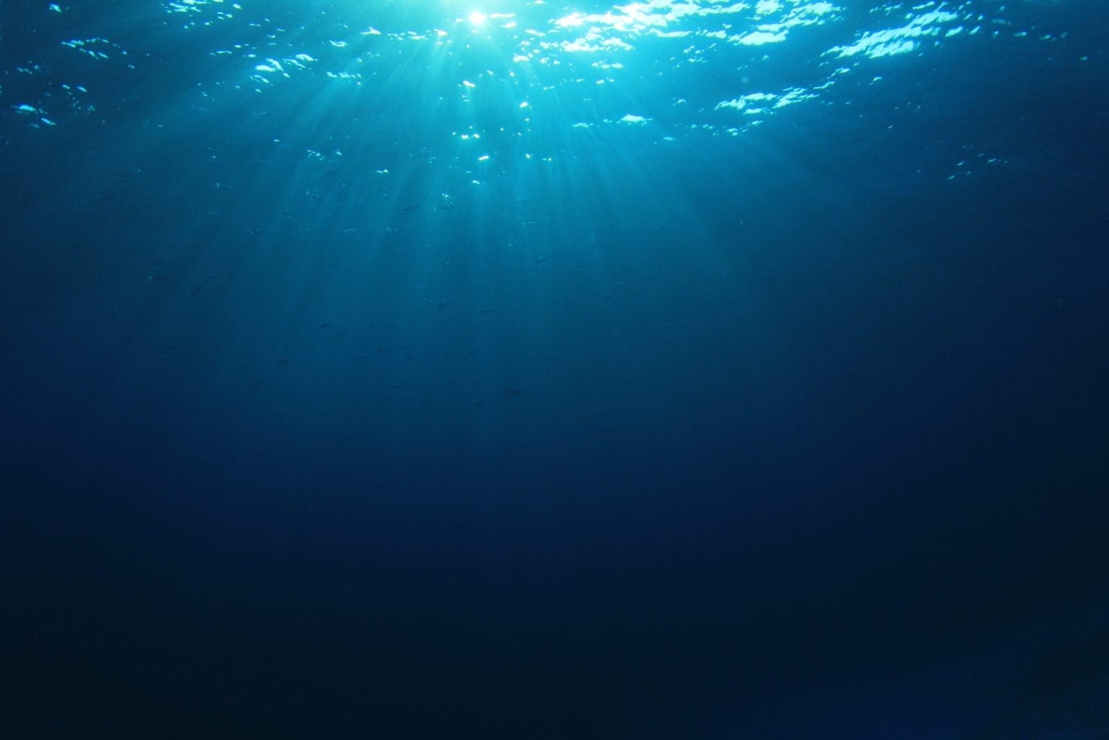 Underwater blue background in sea