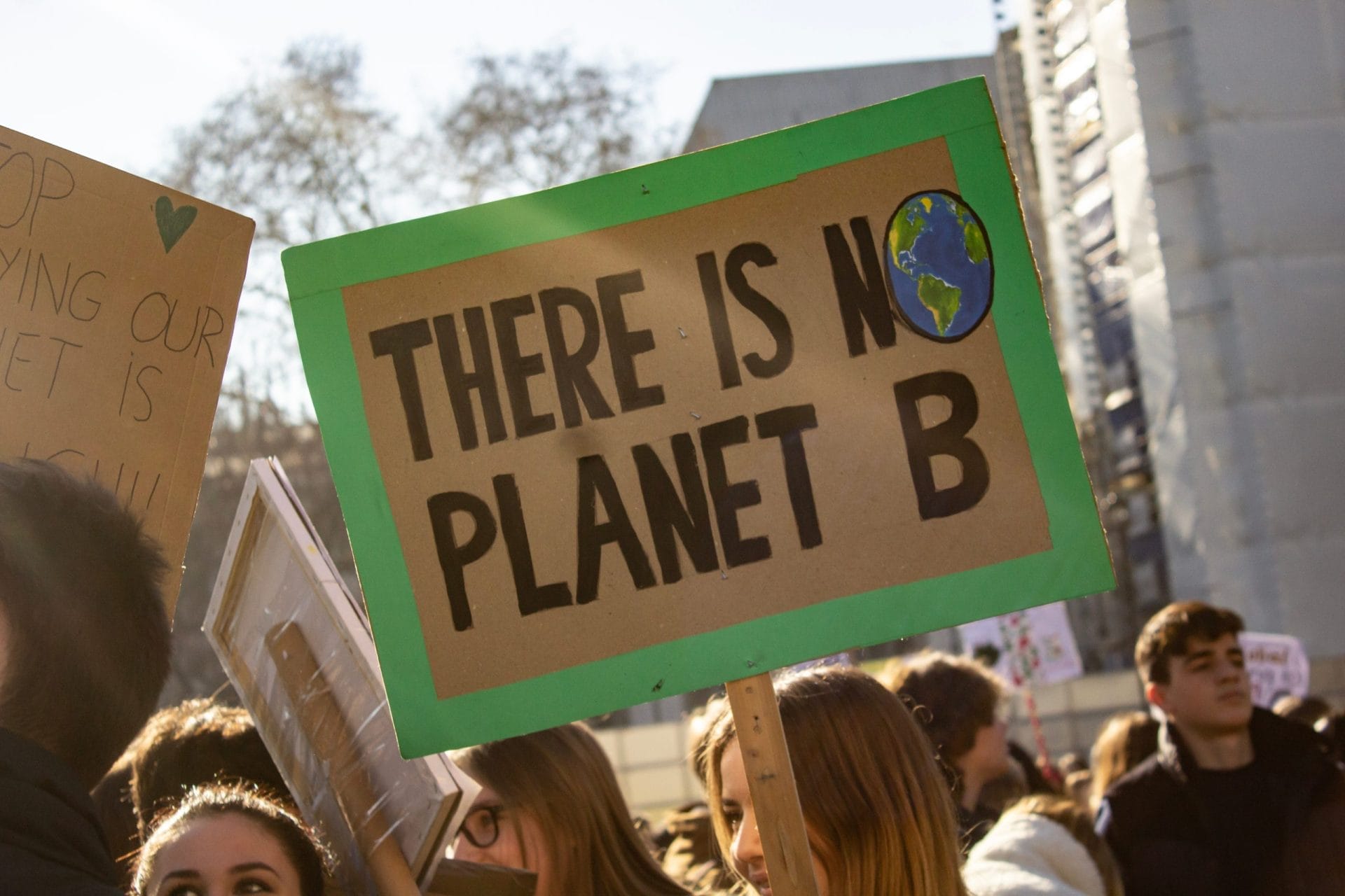 Someone holding a There Is No Planet B sign at a climate change protest