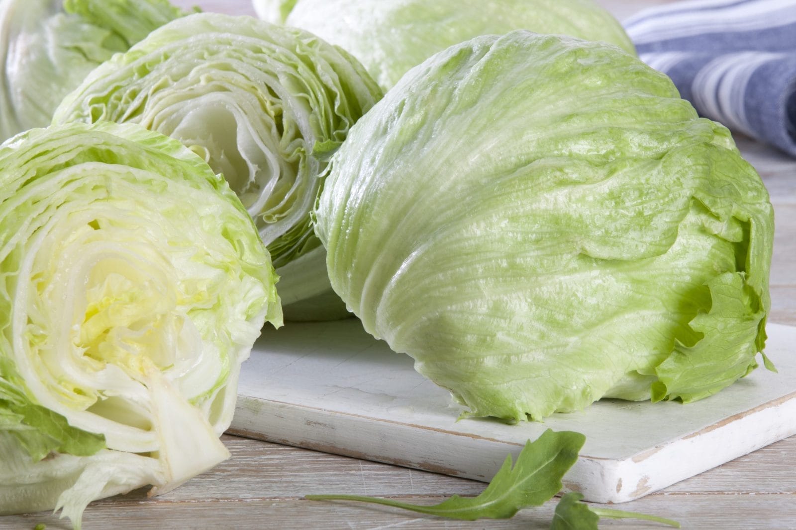lettuce
