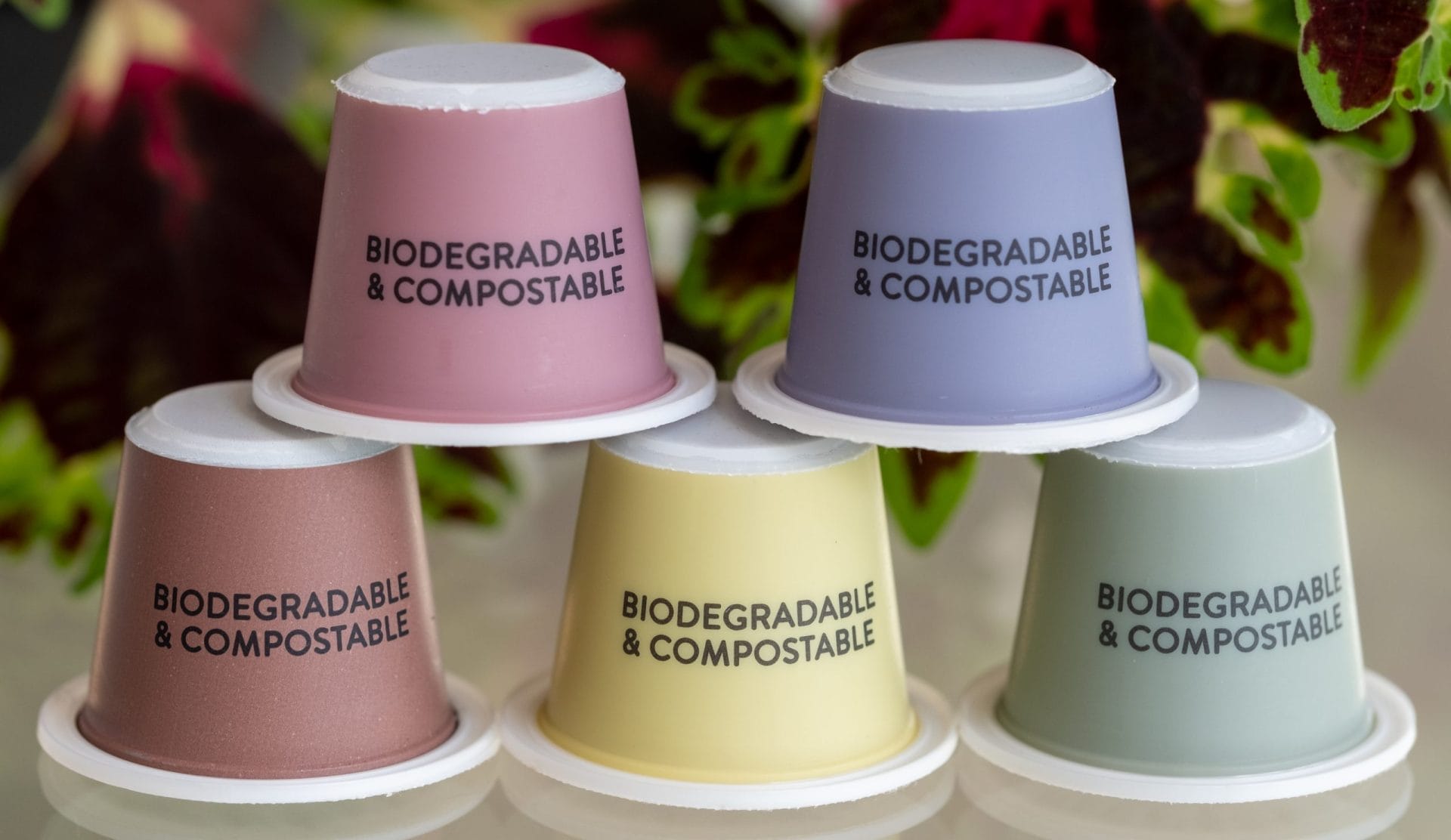 Biodegradable and compostable cups