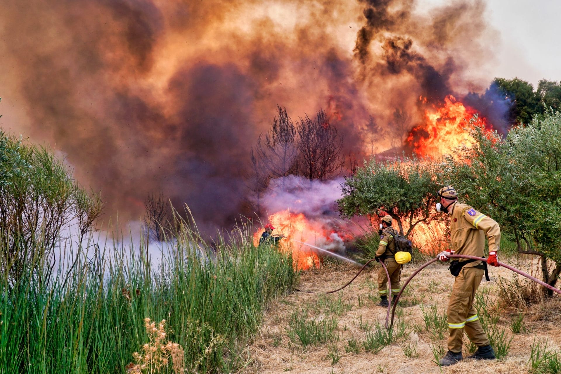 Wildfires