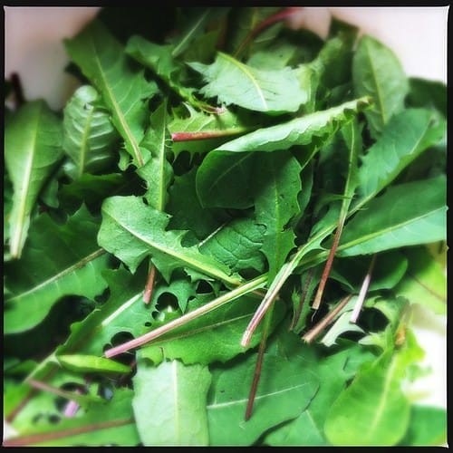 Greens