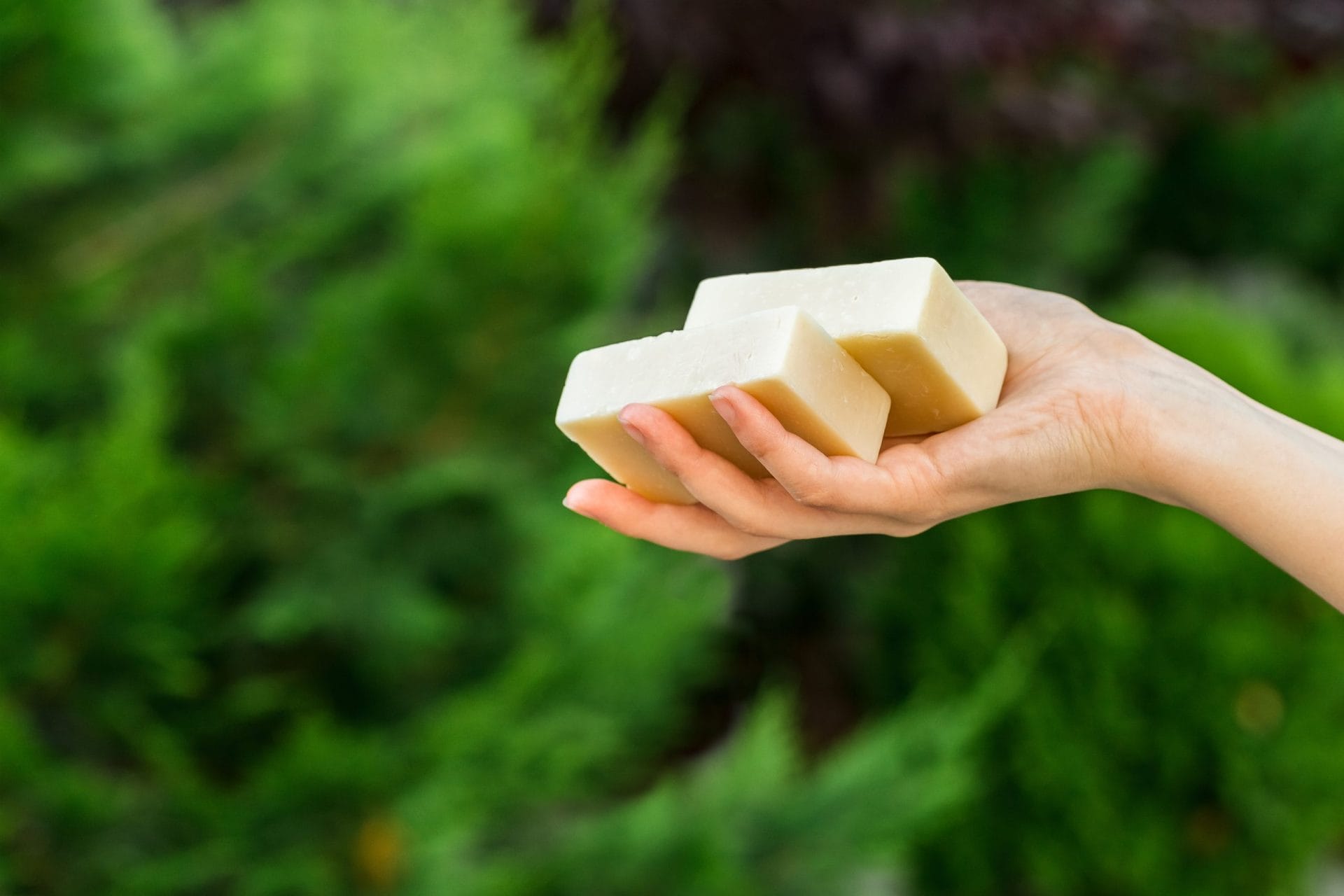 Someone holding two bars of soap in their hand